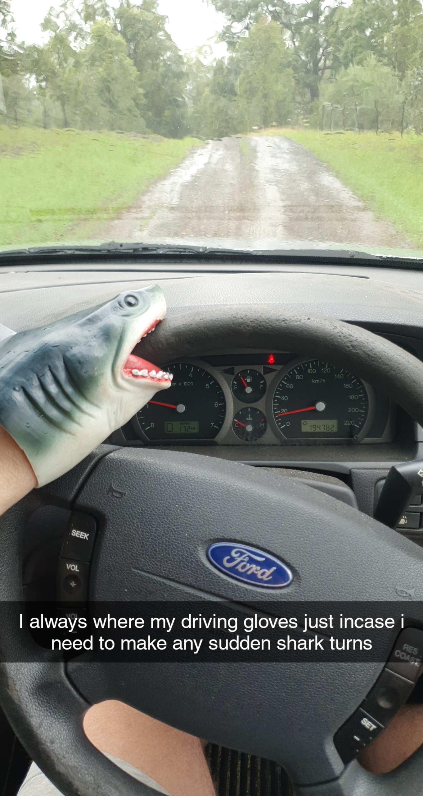 Drive safe puns
