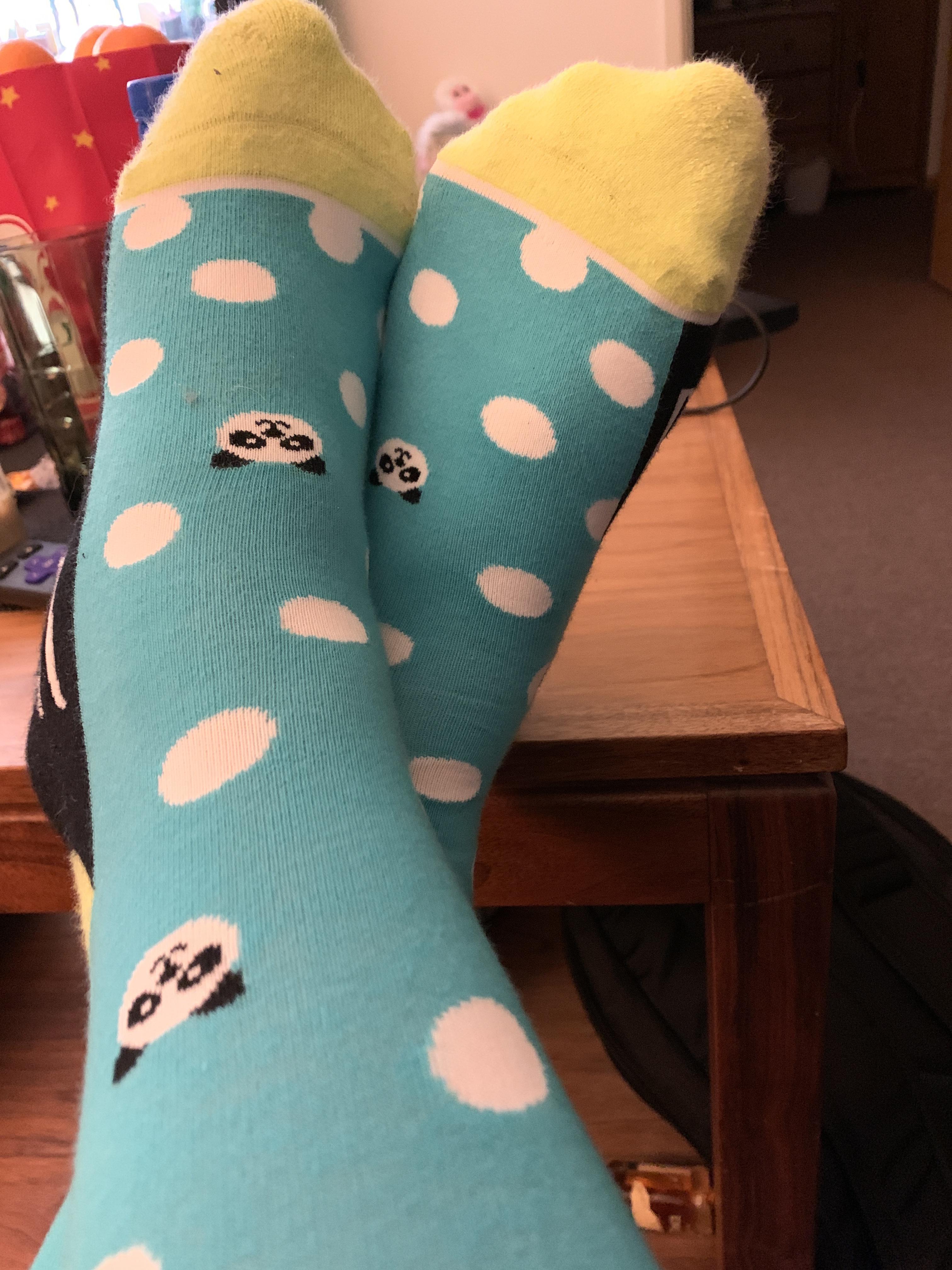 Polkapandas in the wild RareSocks