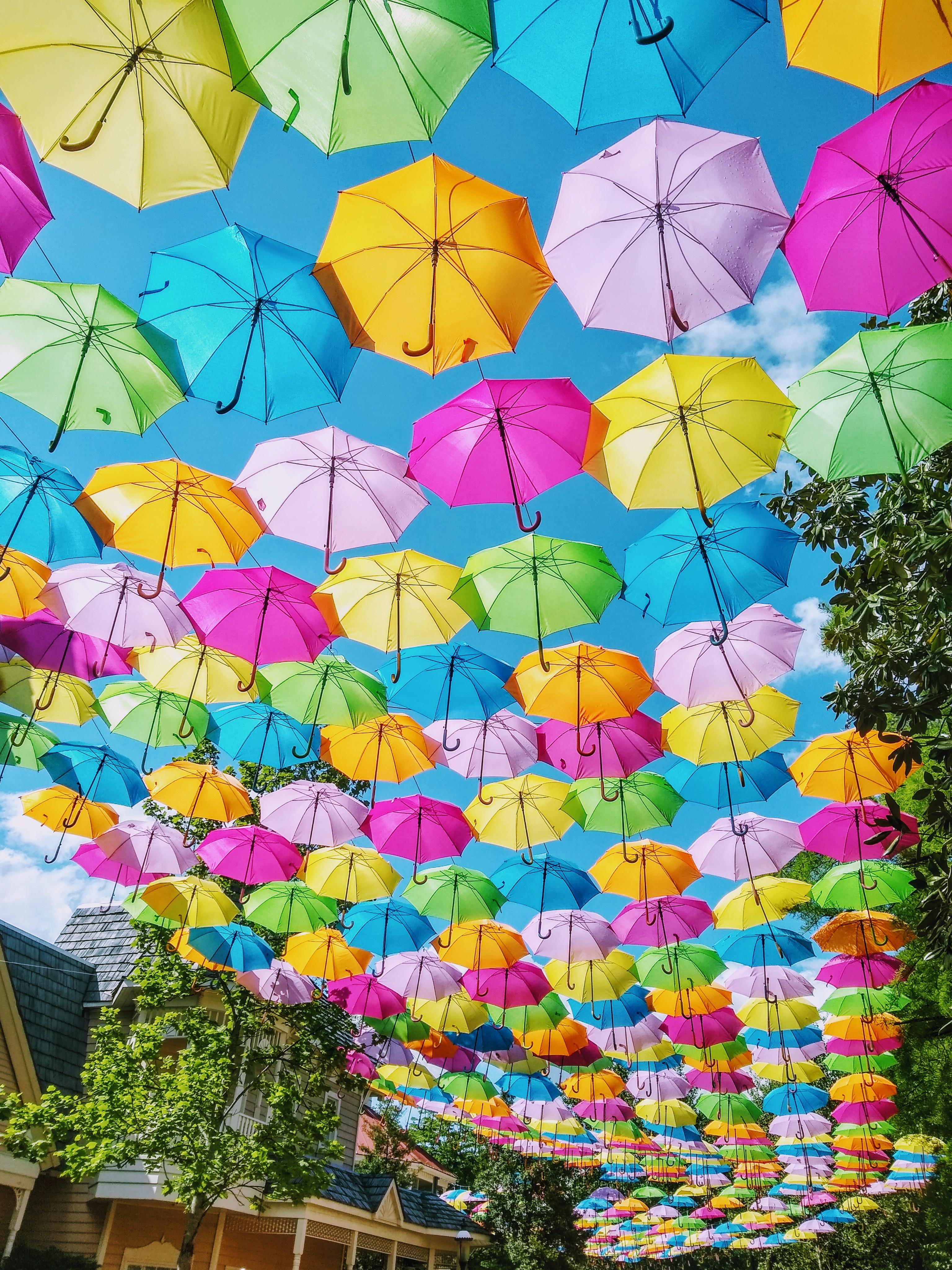 ITAP of an umbrella walkway at Dollywood. r/itookapicture