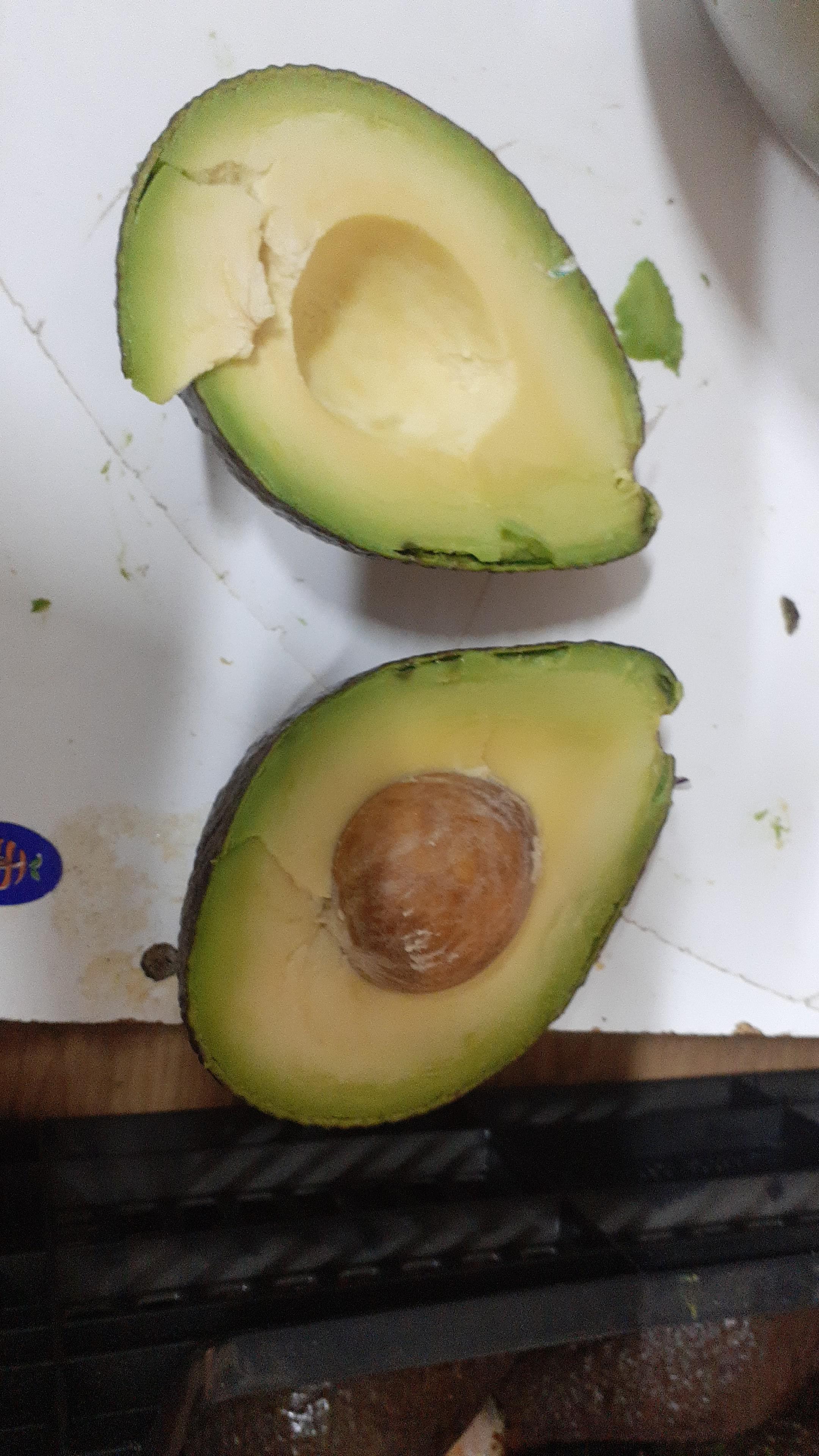 🥑avocados from mexico🥑 r/memes