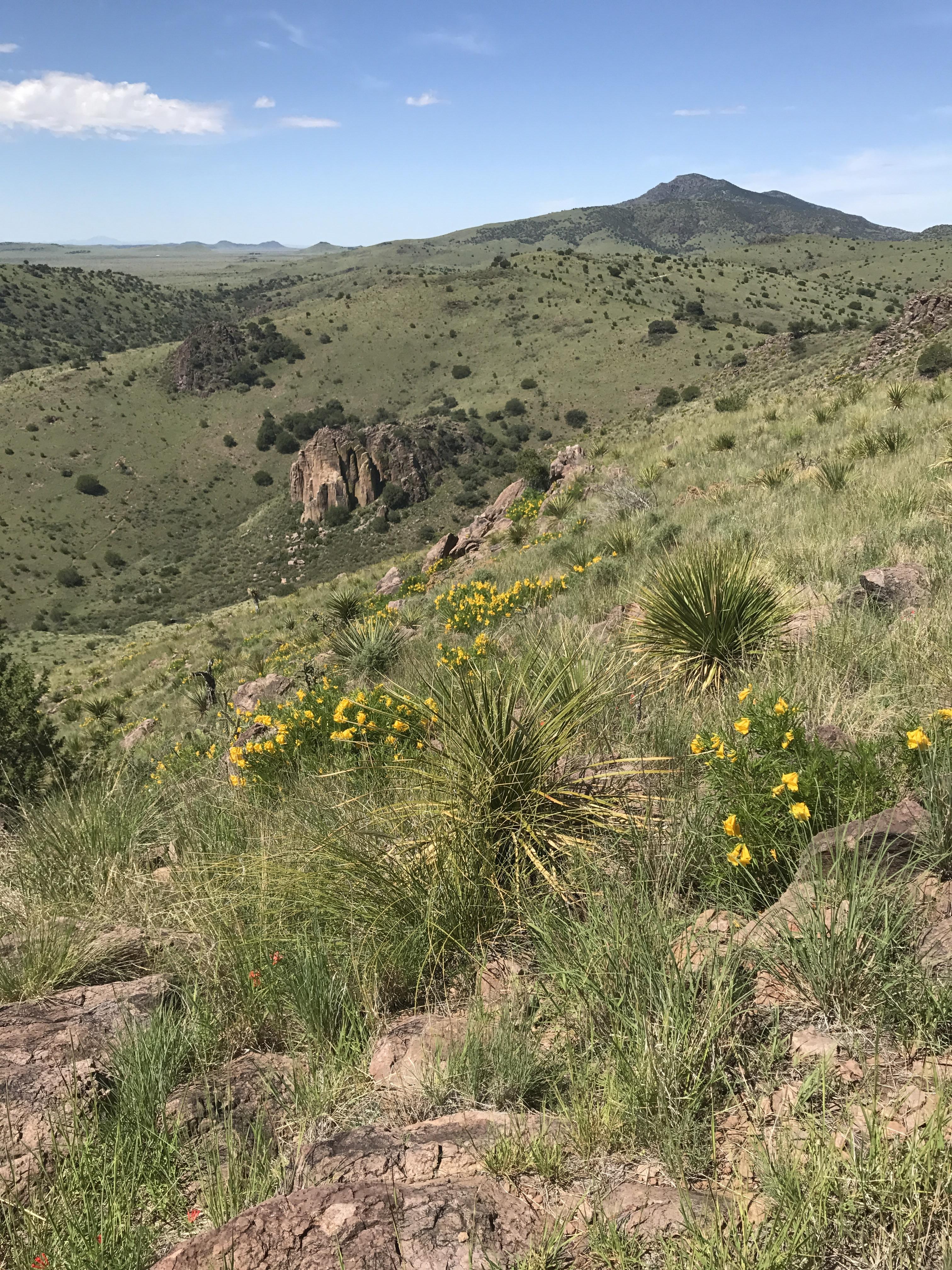 From this weekend at Davis Mountains State Park in west Texas. We loved