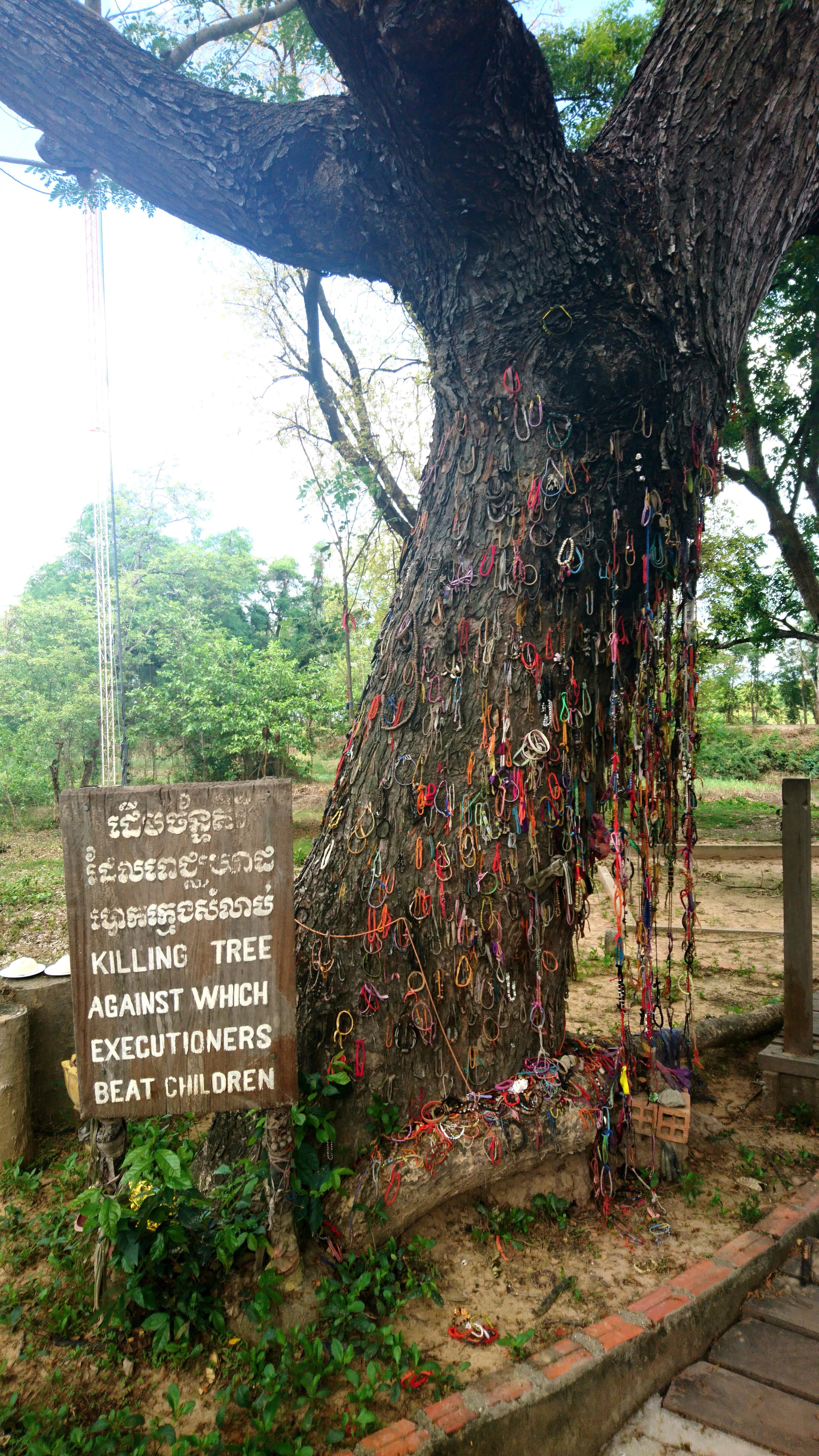 'Killing tree' part of the killing fields where over 1 million people were executed by the Khmer