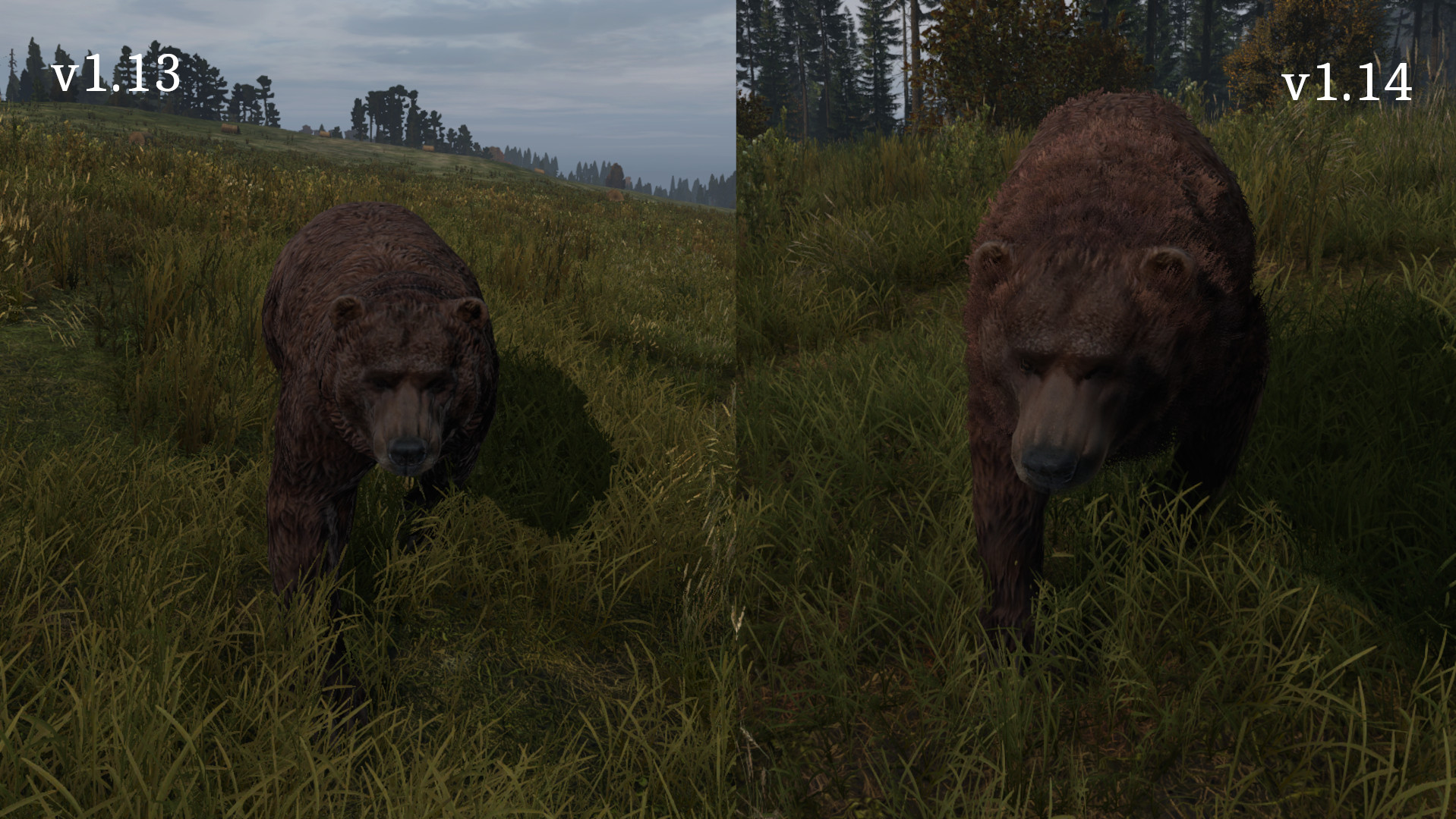 New 1.14 bear fur r/dayz