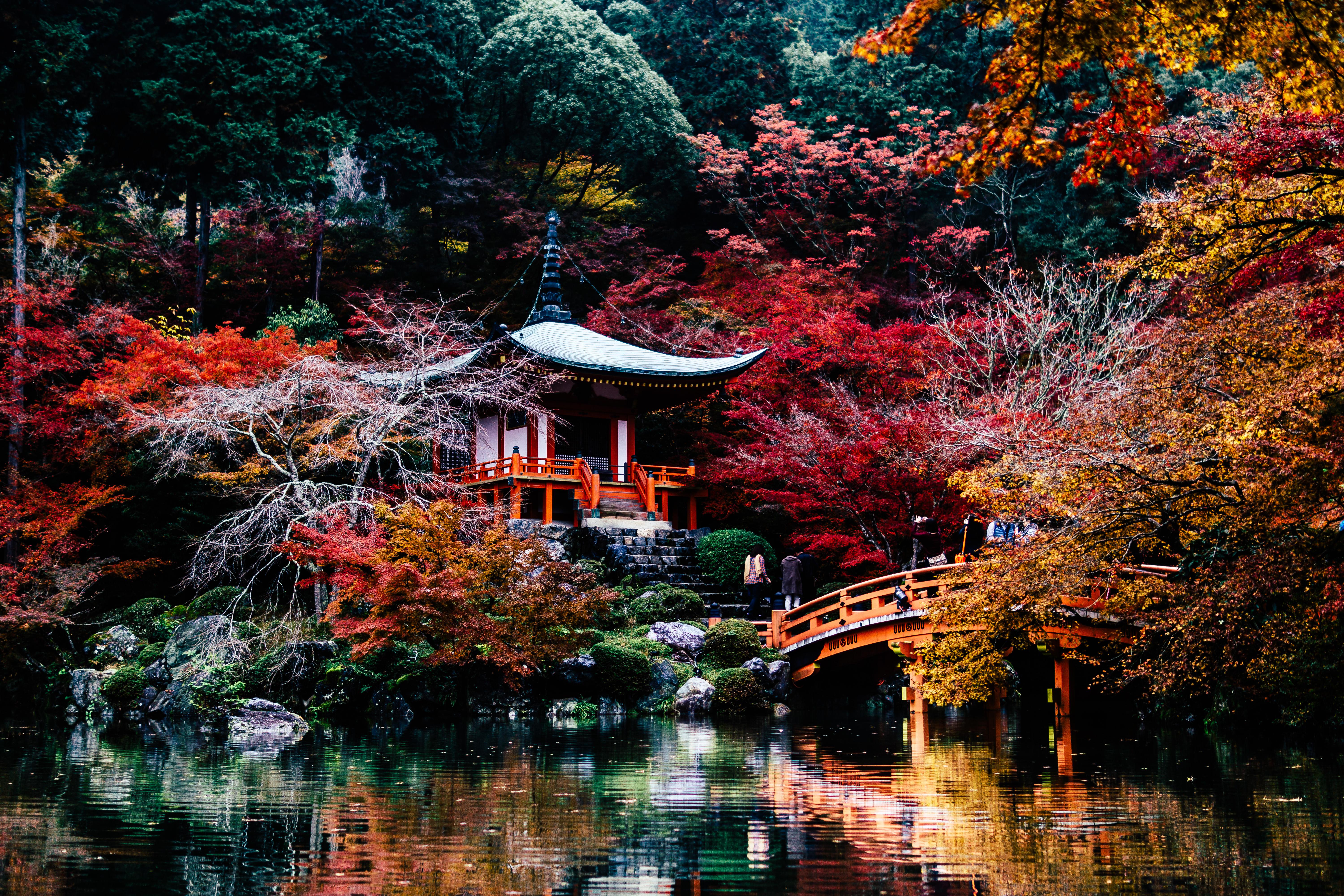 ITAP of Kyoto in Autumn r/itookapicture