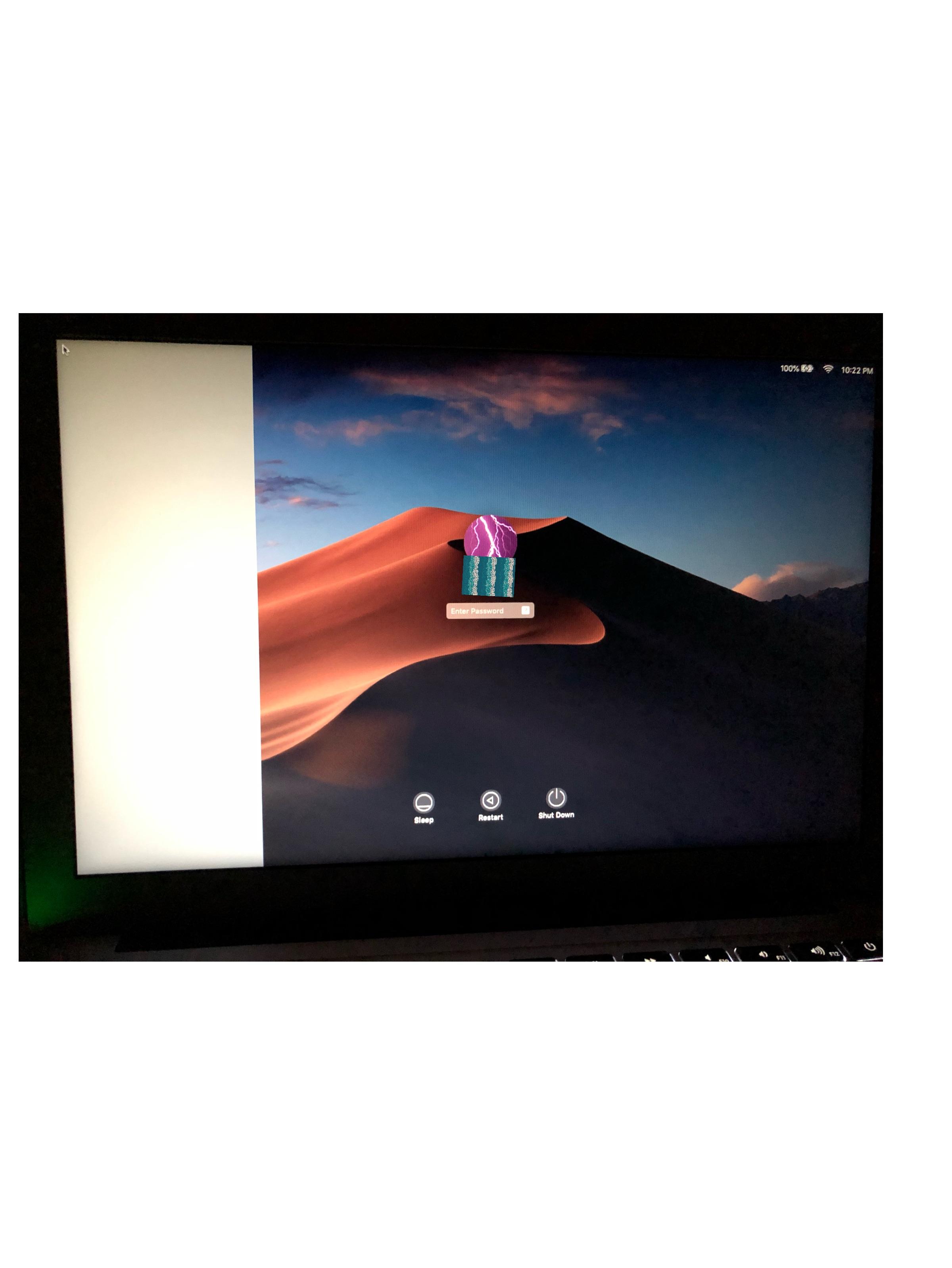 Part of my screen is gray and only shows on login screen. Does anyone