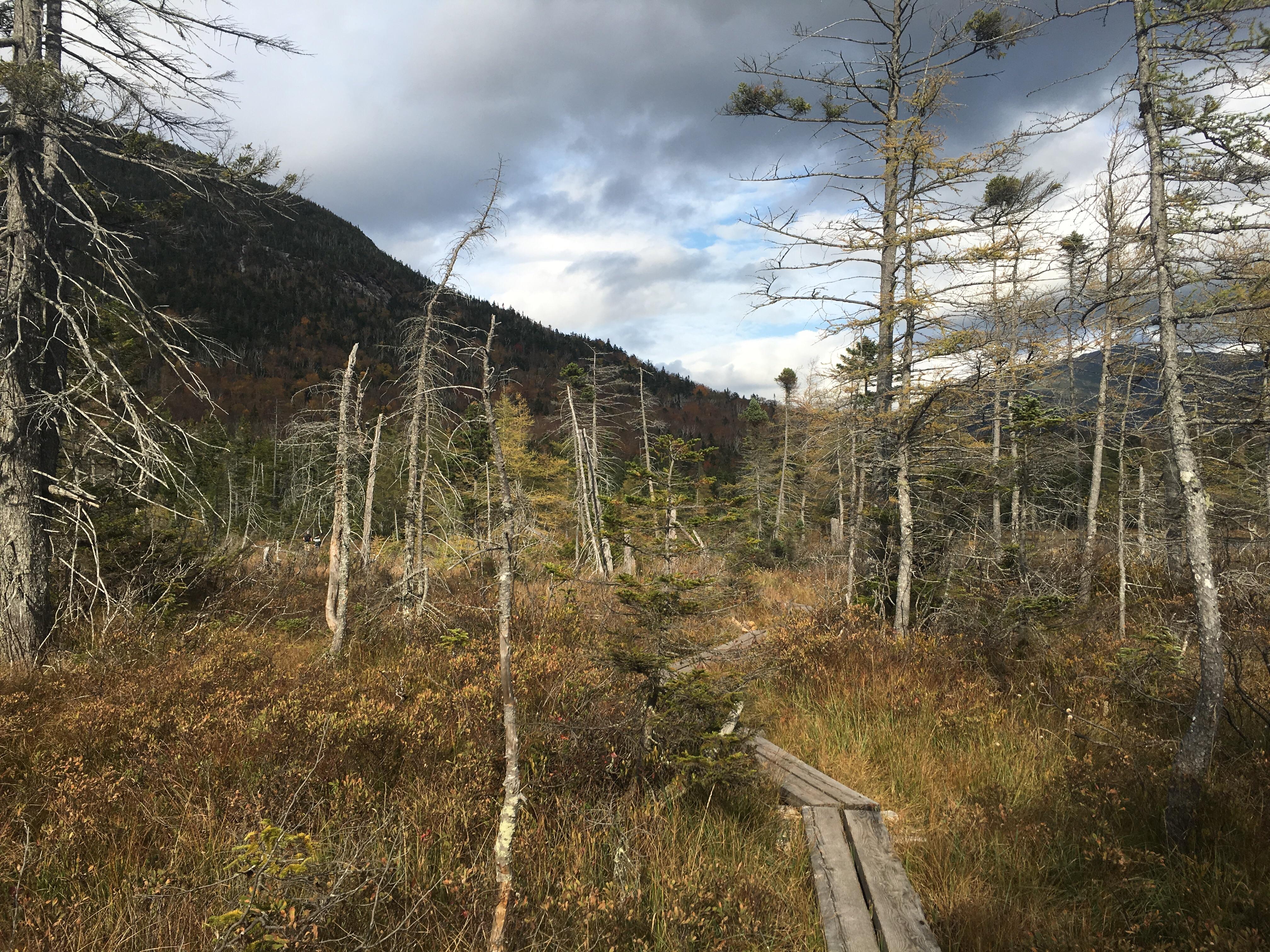 Lonesome Lake, White Mountains NH r/CampingandHiking