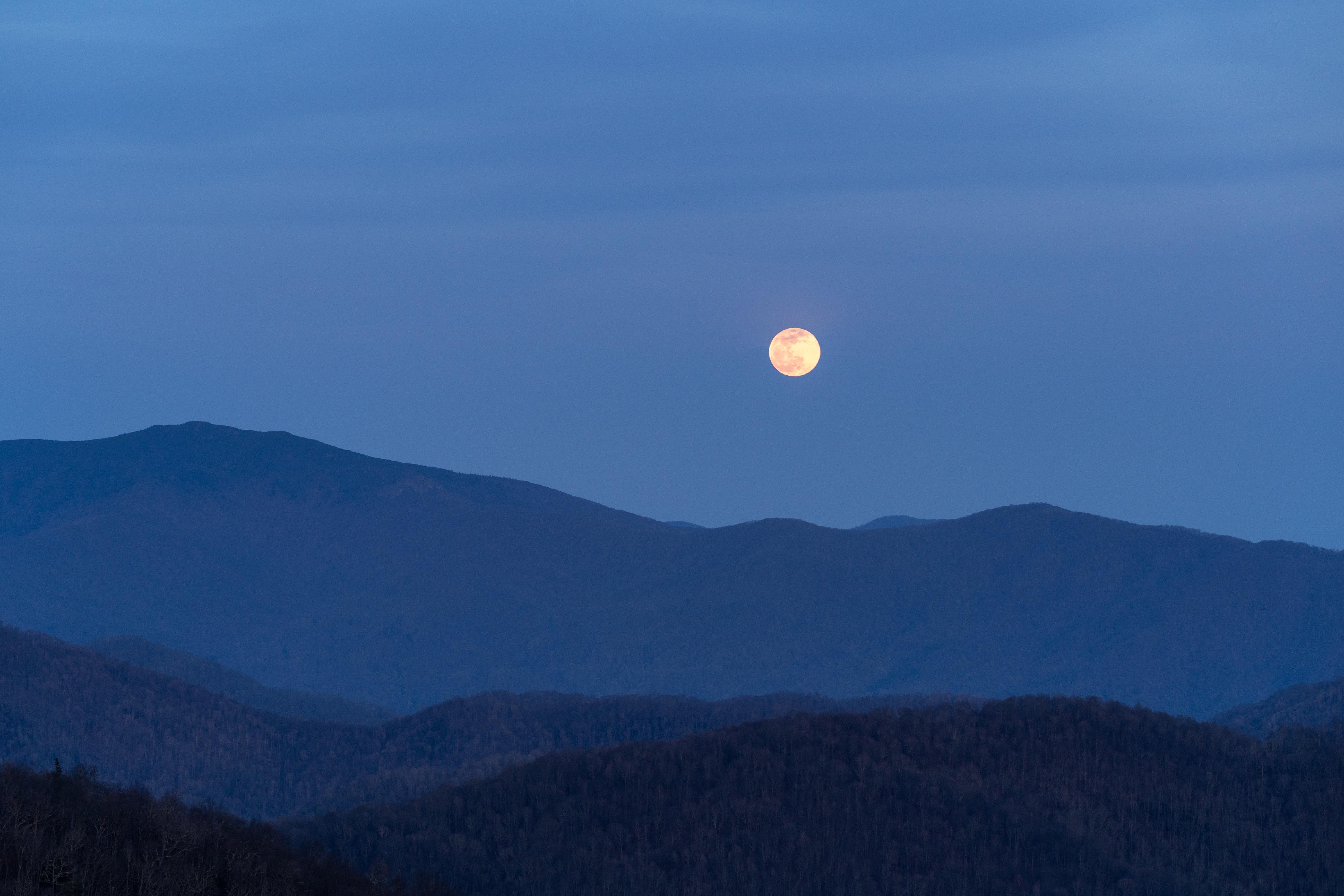 80 best Roan Mountain images on Pholder Earth Porn, Appalachian Trail