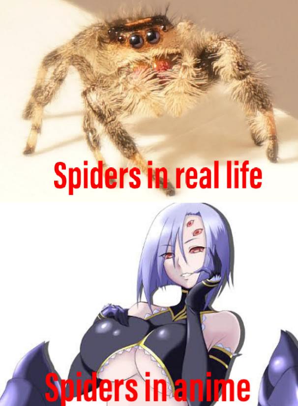 Anime spider girl Animemes