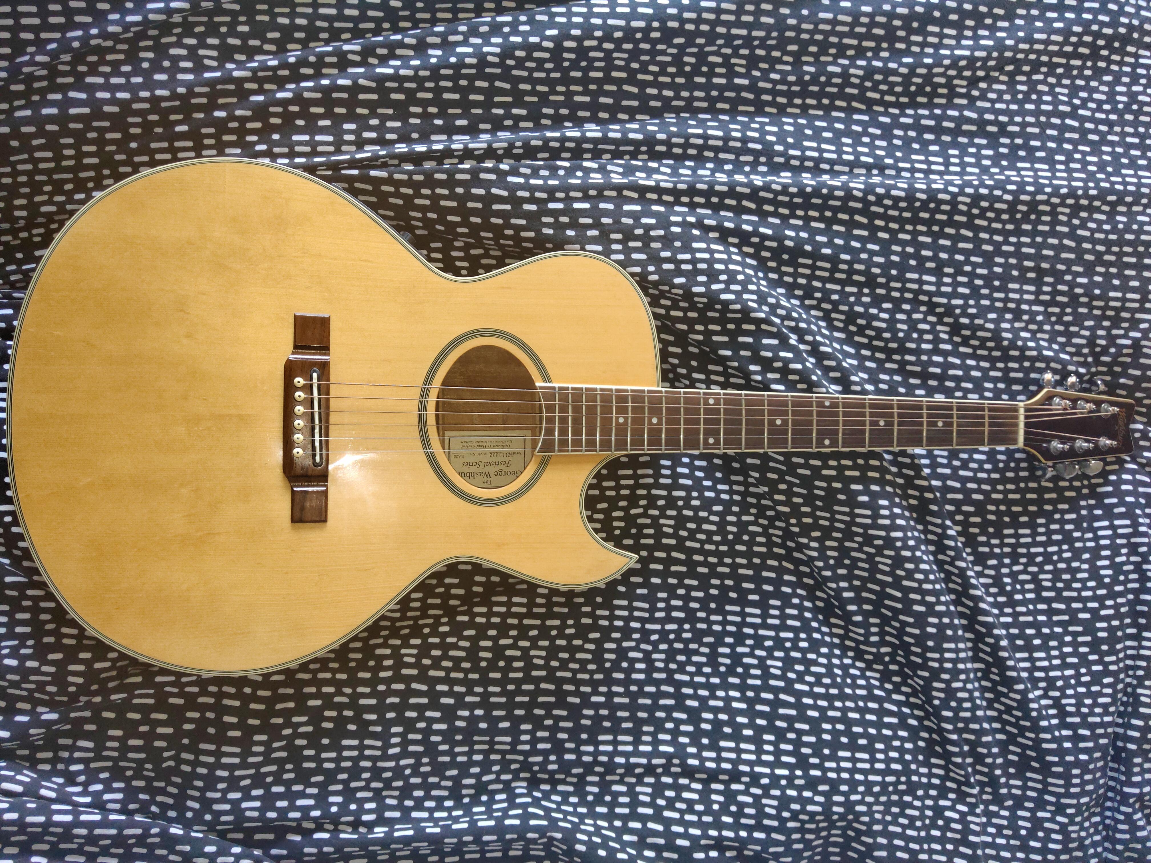 1997 washburn ea20 festival edition r/AcousticGuitar