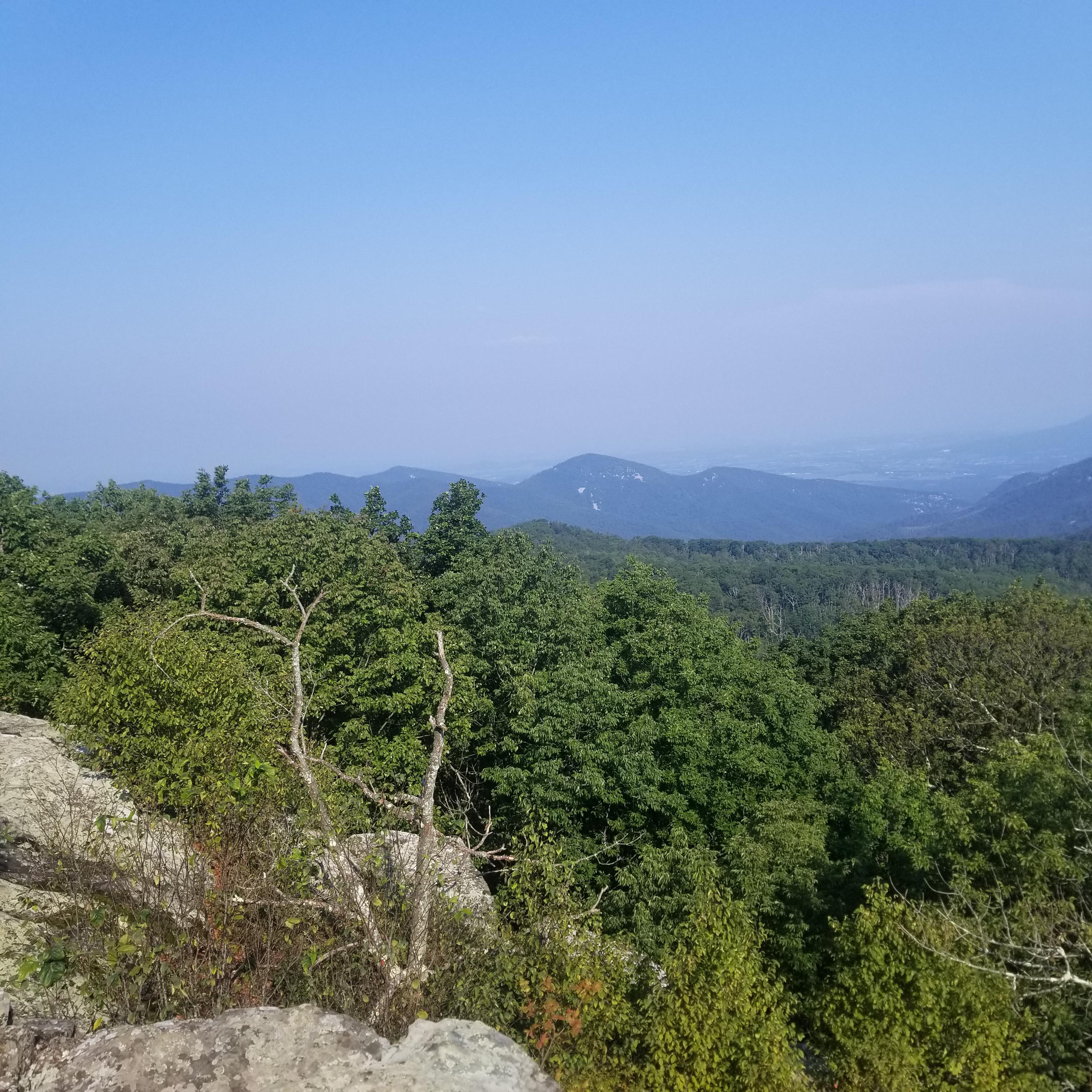 Summit of Loft Mountain off Appalachia Trail, Crozet, Virginia, USA r