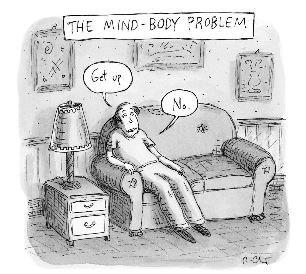 A Daily Dilemma r/funny