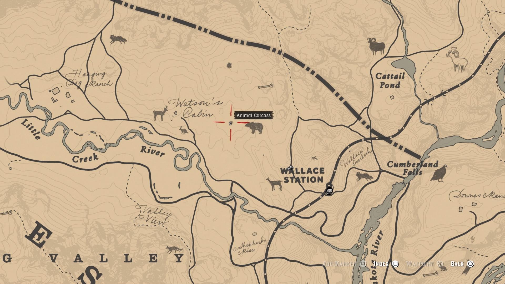Red Dead 2 Cougar Spawn Location Rectangle Circle