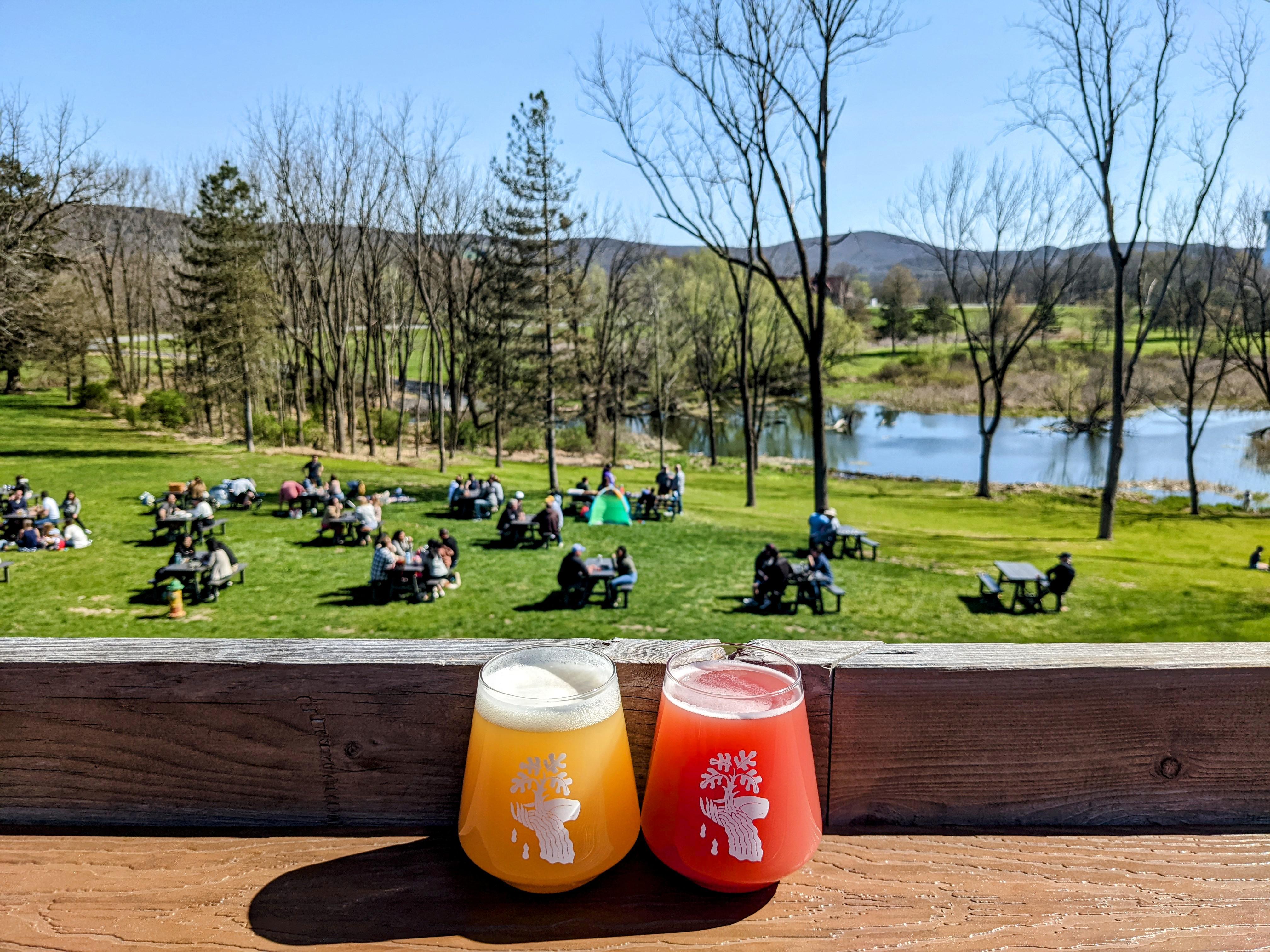 Spar Kill SIPA and Spring Terra DIPA at Drowned Lands Brewery in