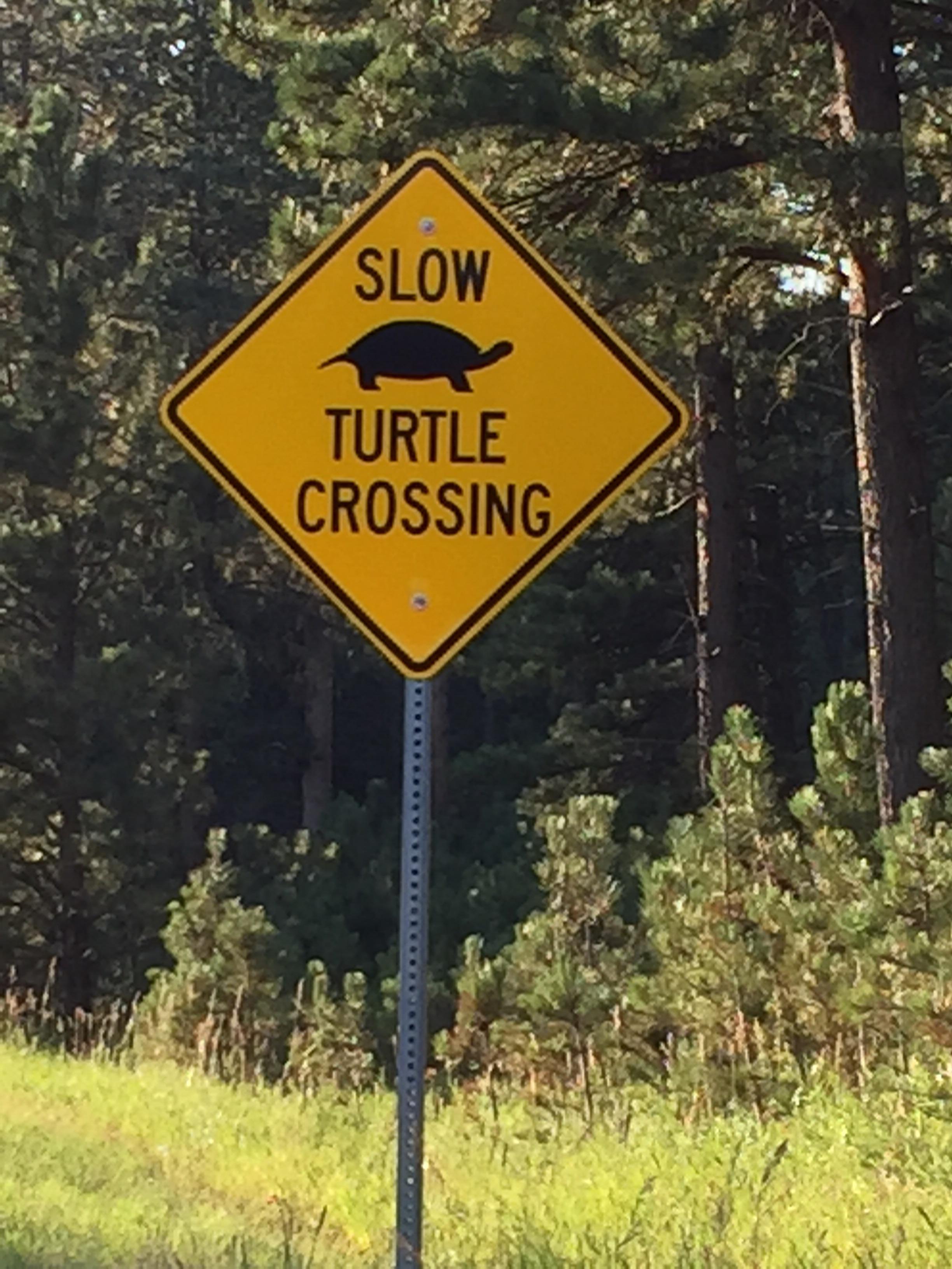 A sign in South Dakota designated for turtle crossing. r/pics