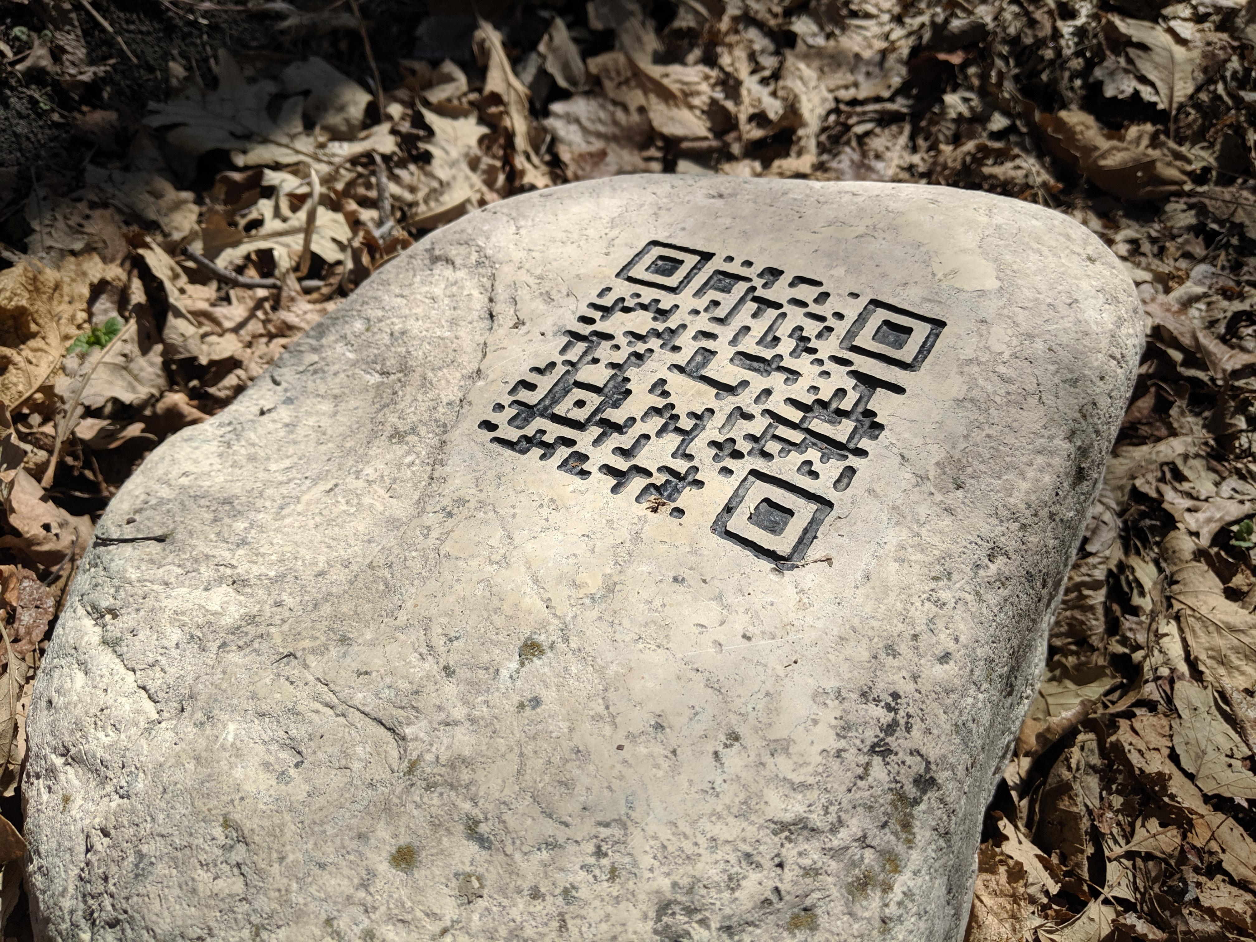 This QR code etched into a rock along a forest trail in my city r
