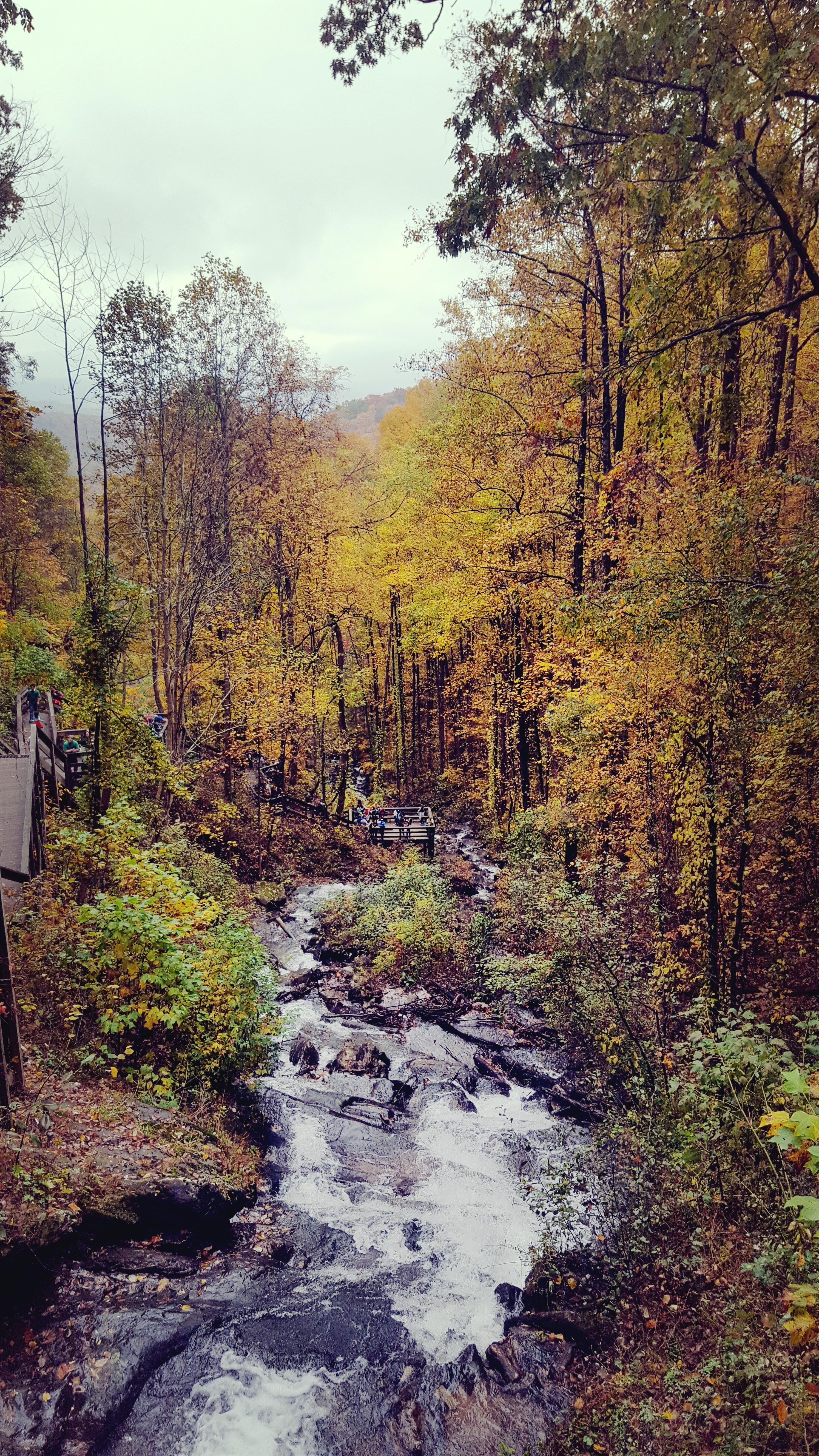 Amicalola Falls, [OC] [5312x2988] r/Atlanta