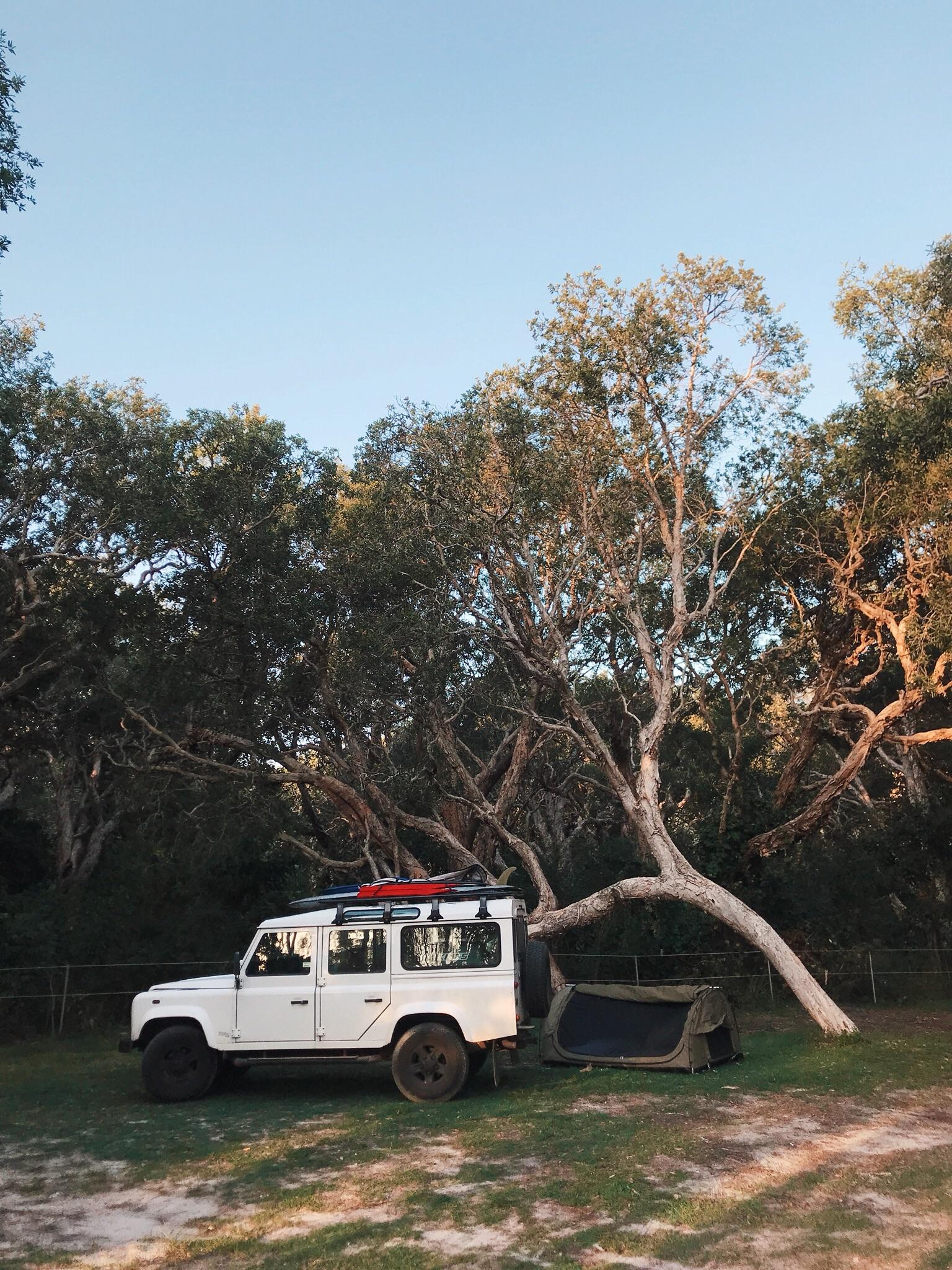 Australian bush camping in the swag, Mid North Coast NSW. r/camping