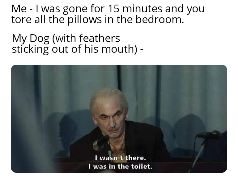 Just trying to introduce some new Chernobyl meme formats. memes
