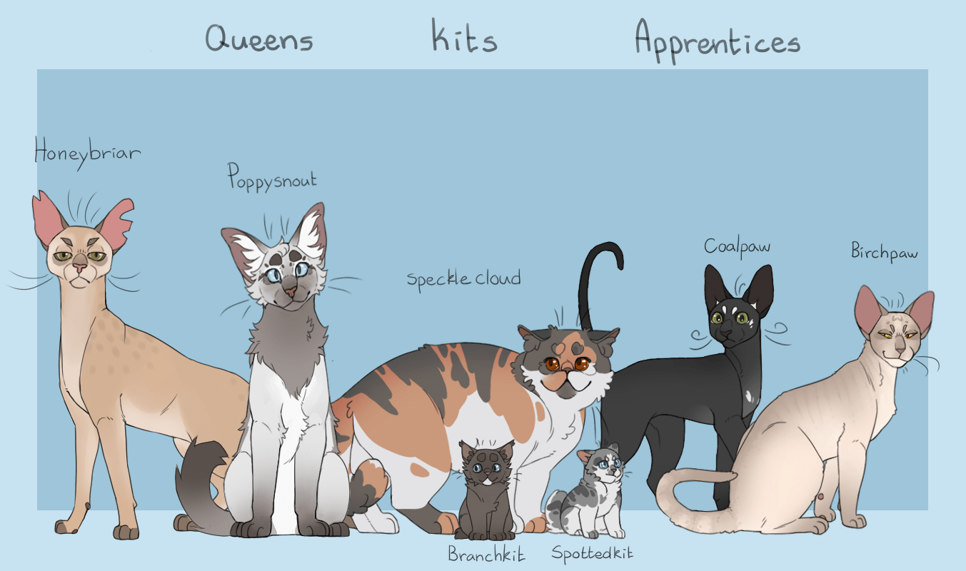 Warrior Cat Queens
