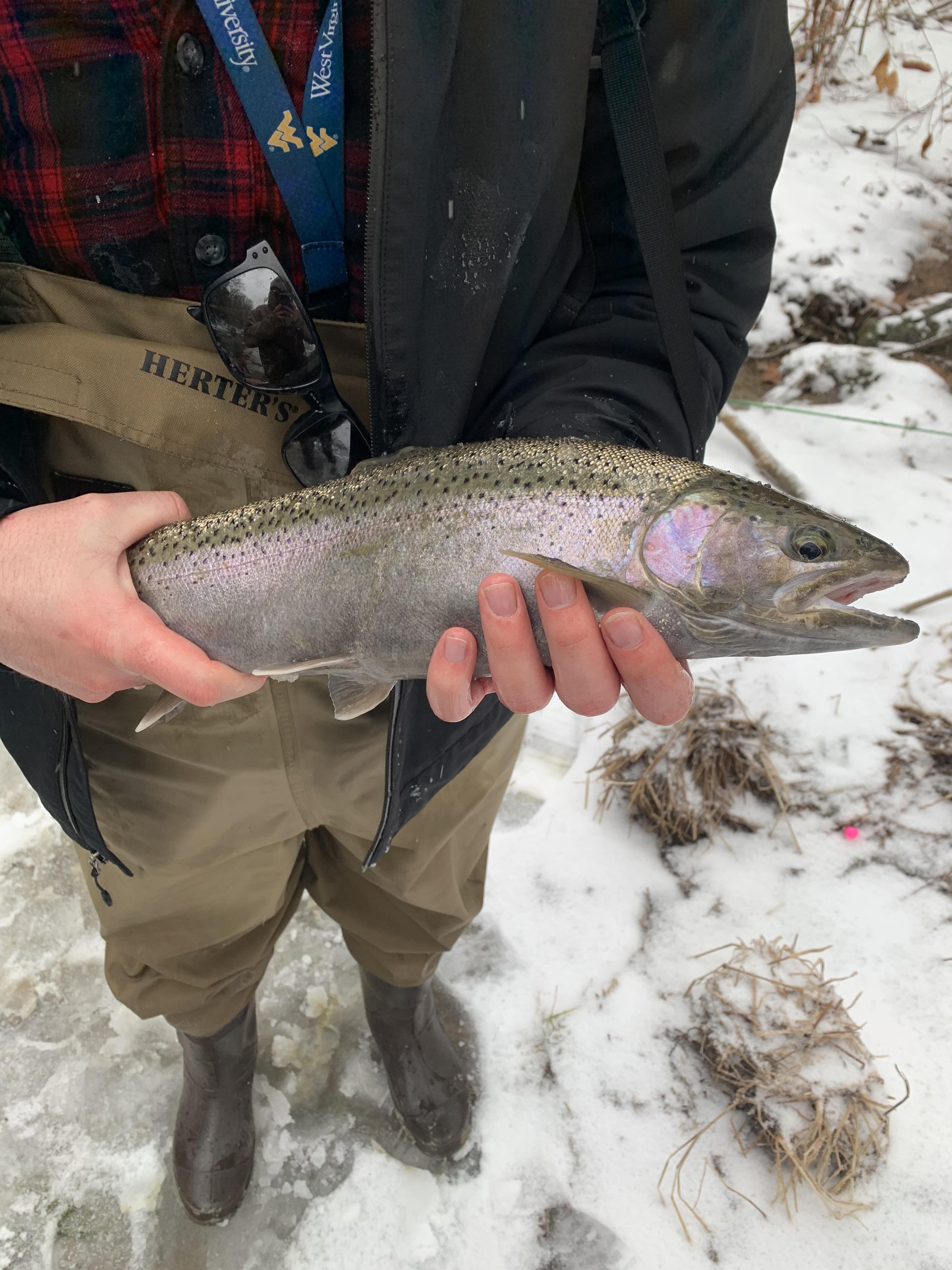 First ever fish on a fly rodErie, PA r/flyfishing