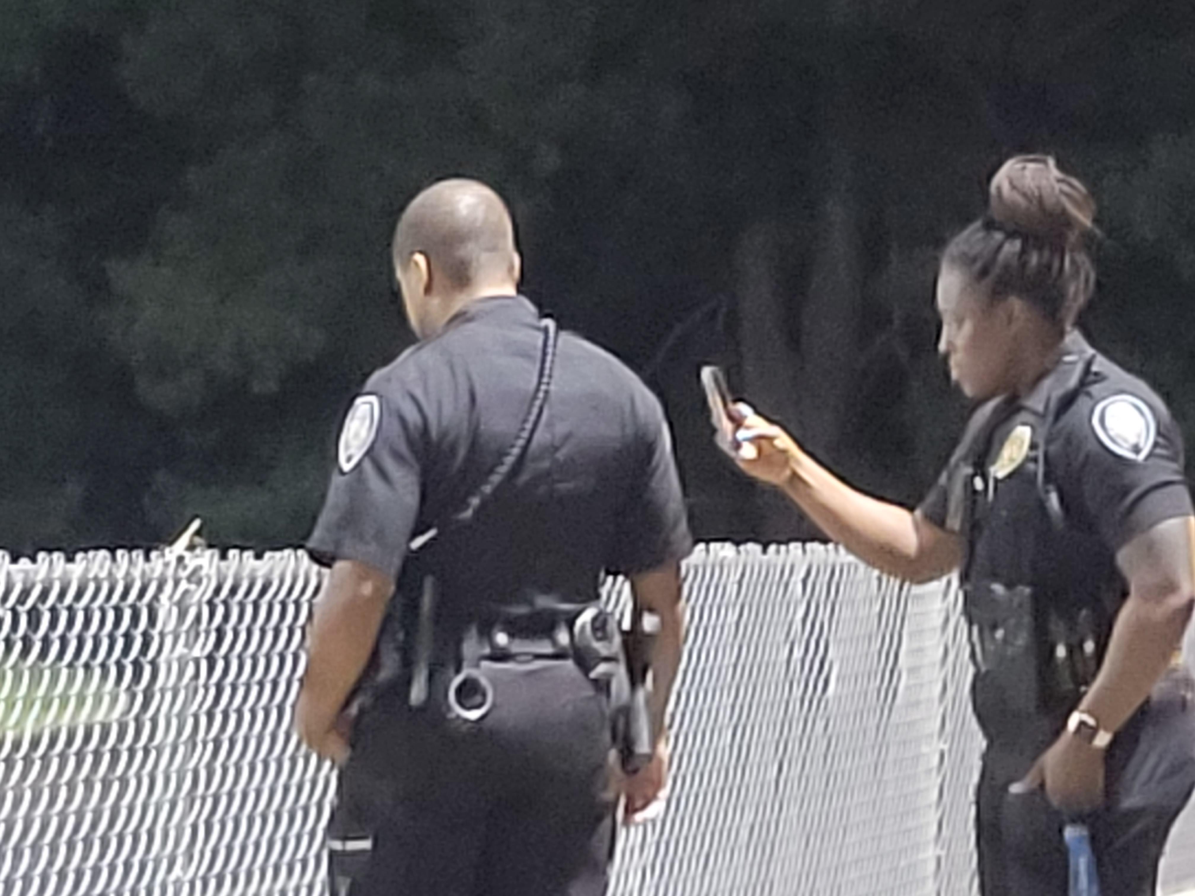 Best Praying Mantis Posts - Reddit