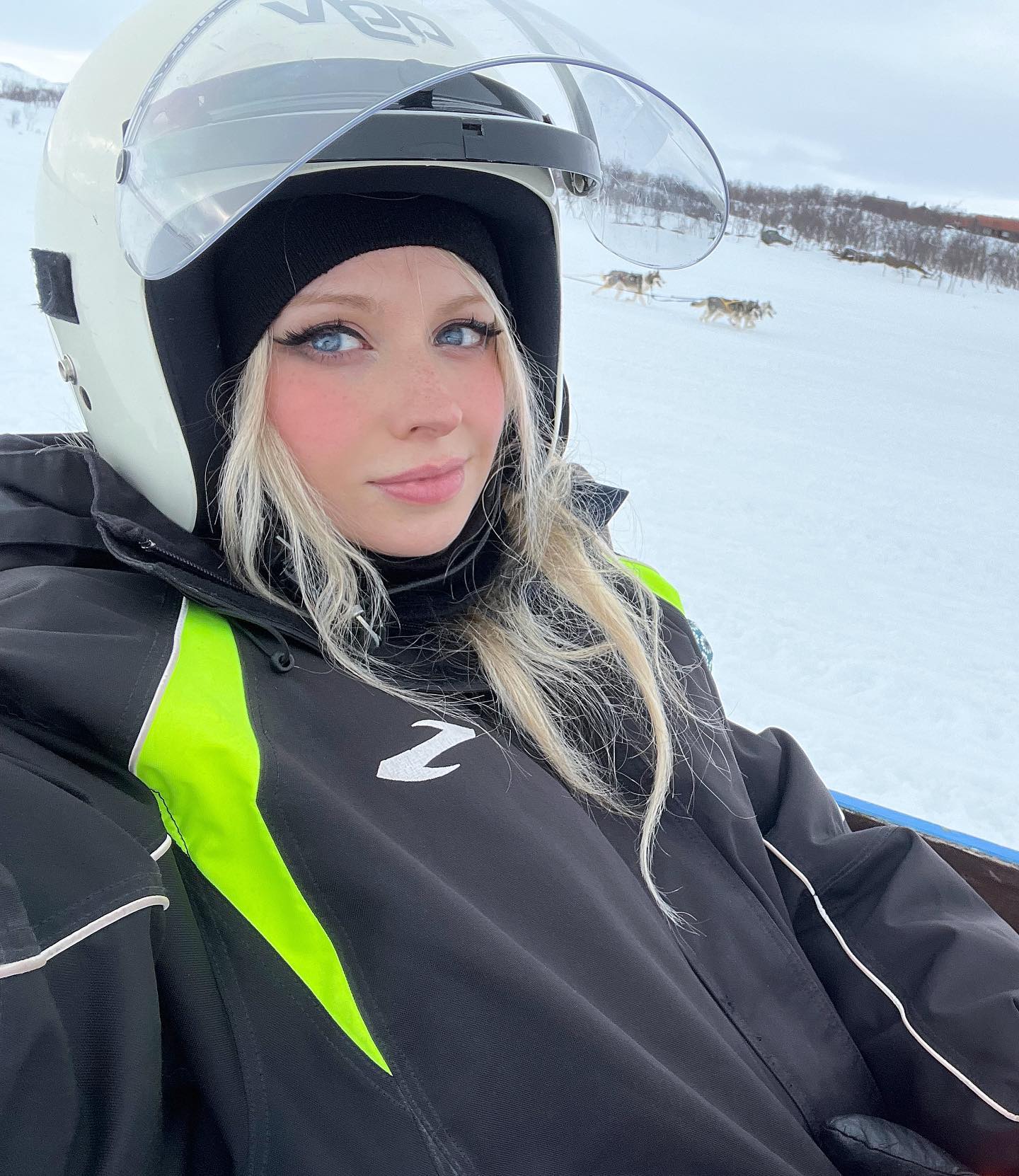 Sled Dogs r/wintergirls