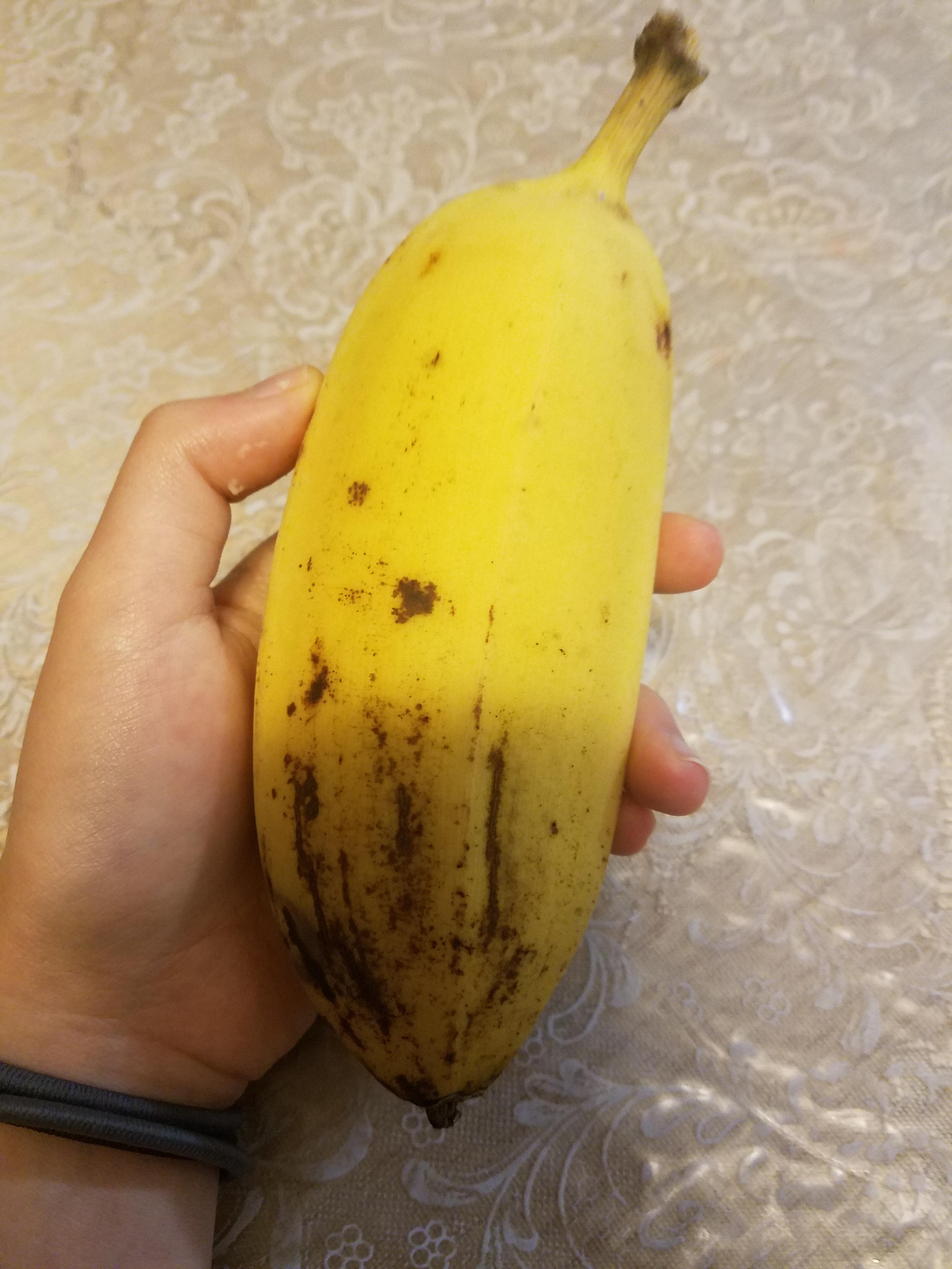 So this is what a homegrown banana looks like... 100 calories probably