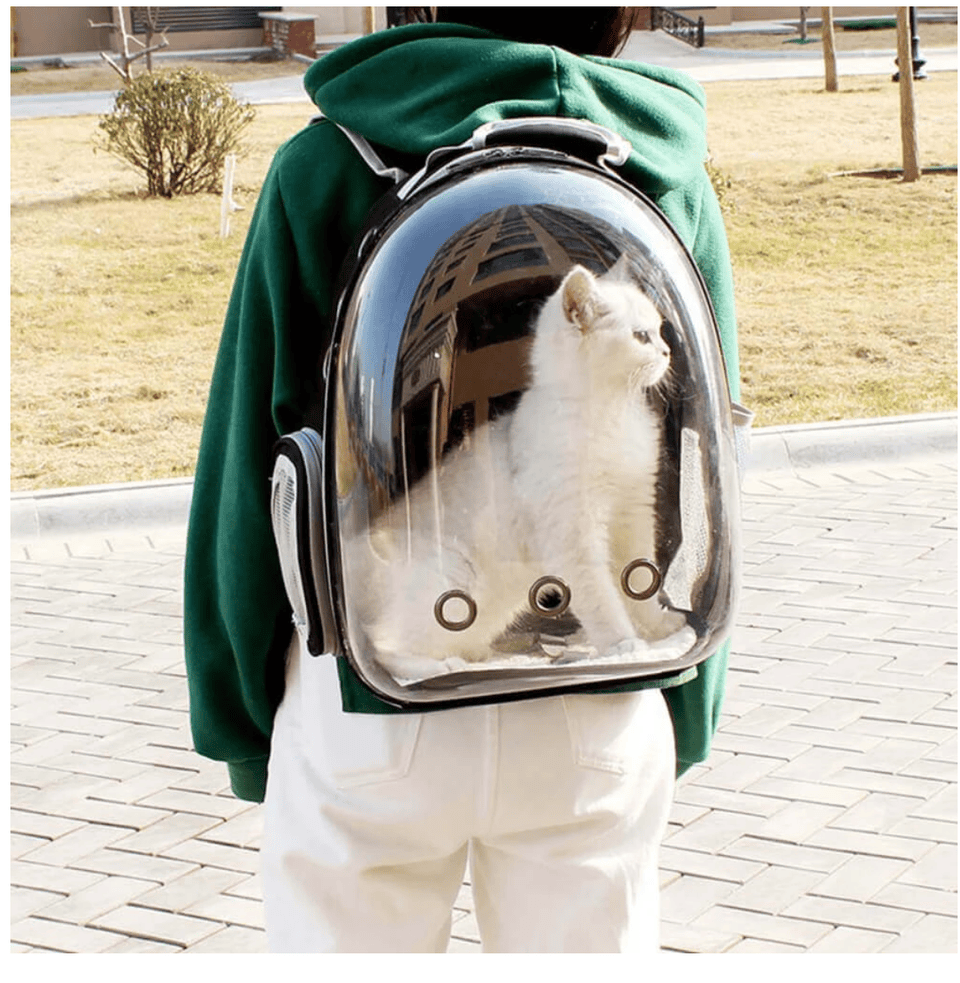 PsBattle a cat in a rocket backpack