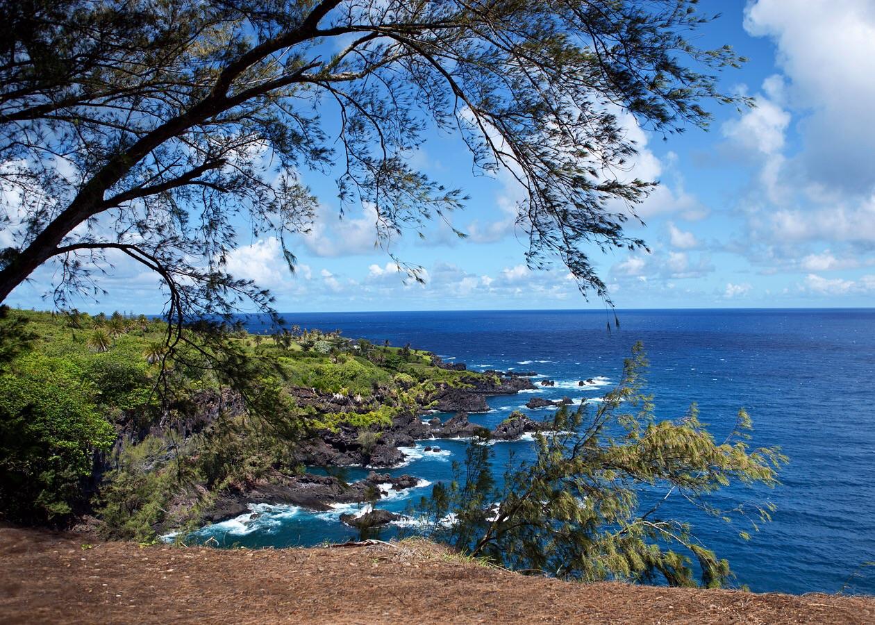 Back Road to Hana ©2018 r/maui