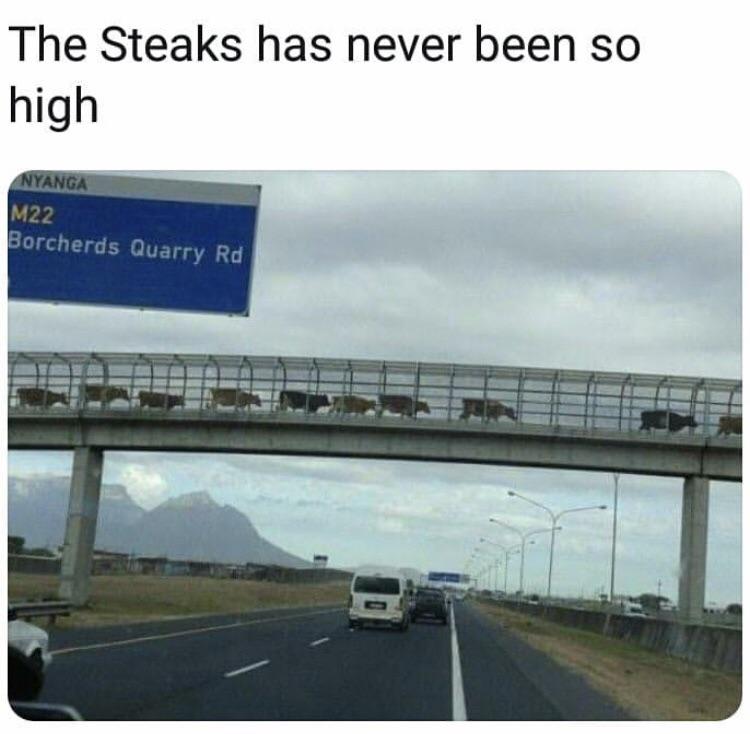 steaks r/puns
