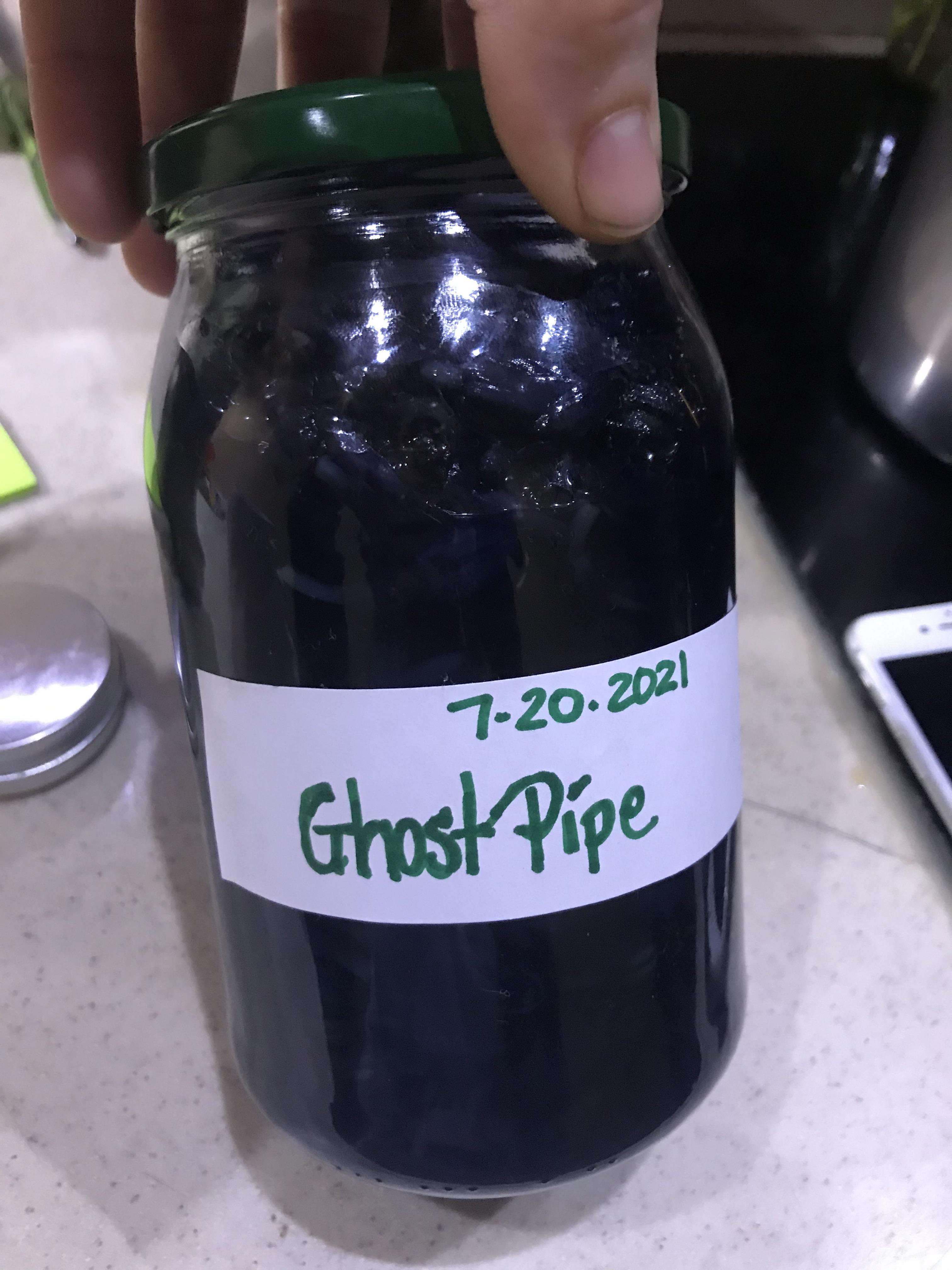 The color is Amazing 🤩 after 1 day only!! 🙌 ghost pipe tincture. herbalism