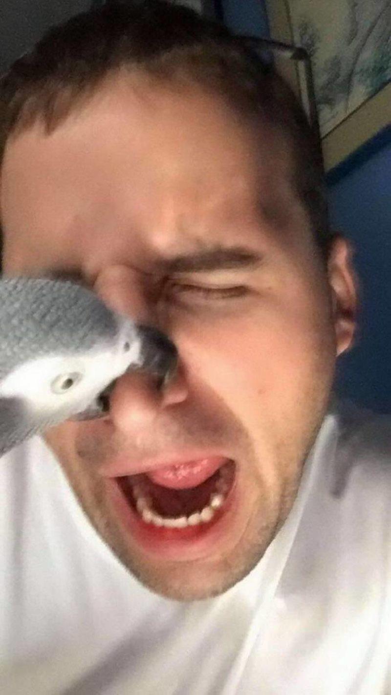 In the nose r/funny