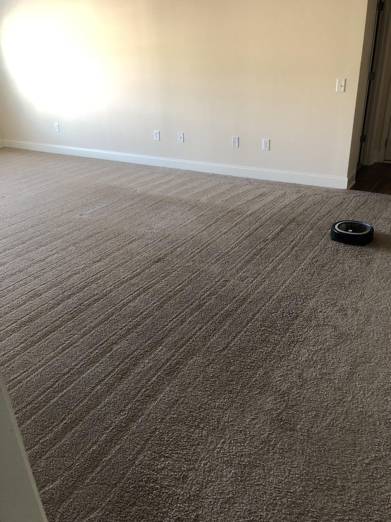 The perfect track lines robo vacuums leave on the carpet oddlysatisfying