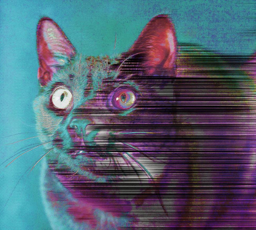 My cat. glitch_art