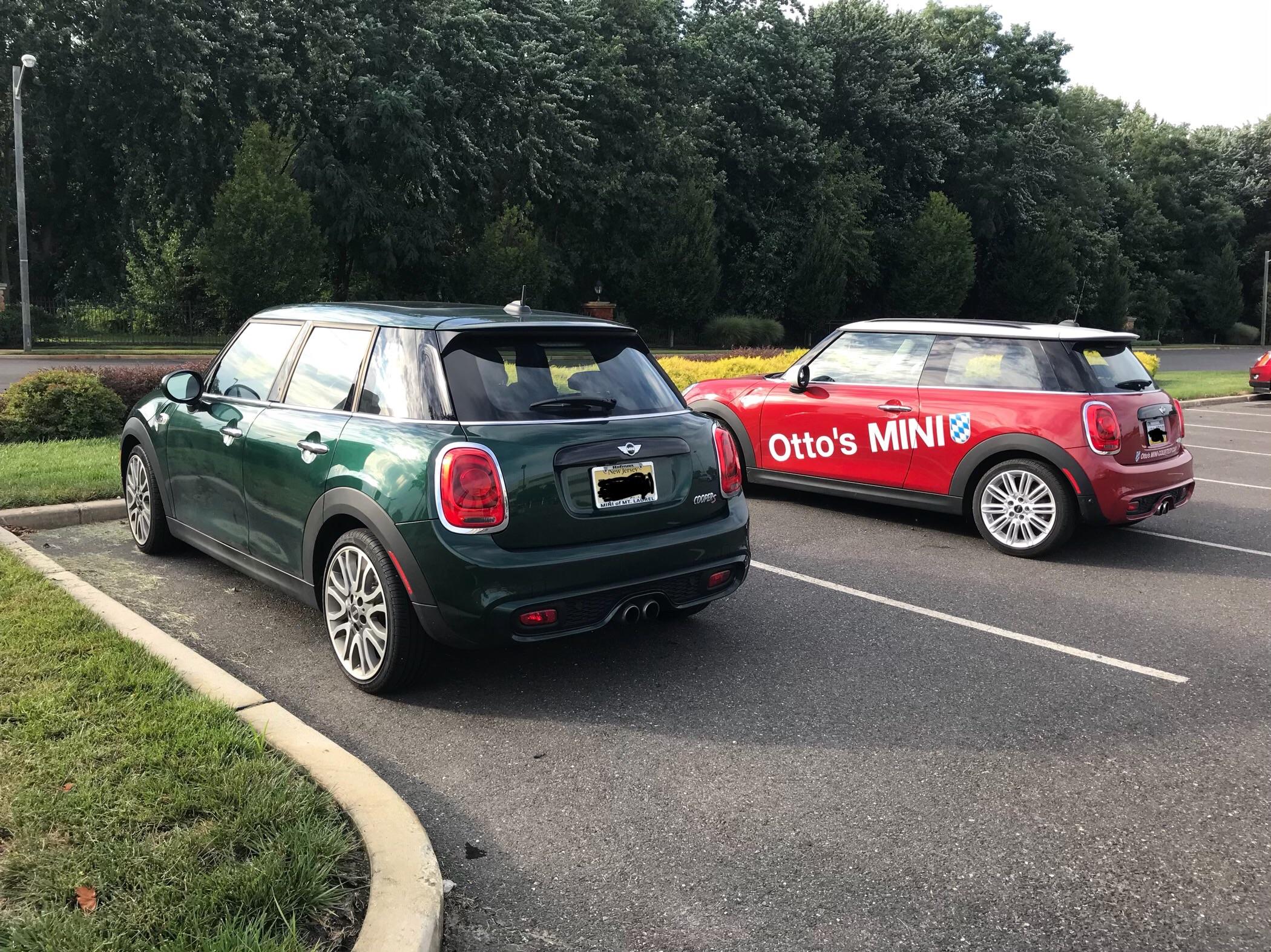 Found a friend named Otto r/MINI