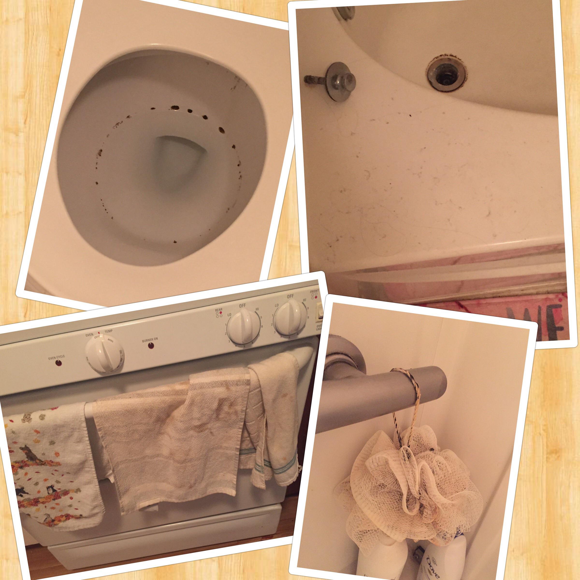 Roommates claim their old roommate was a slob. r/badroommates