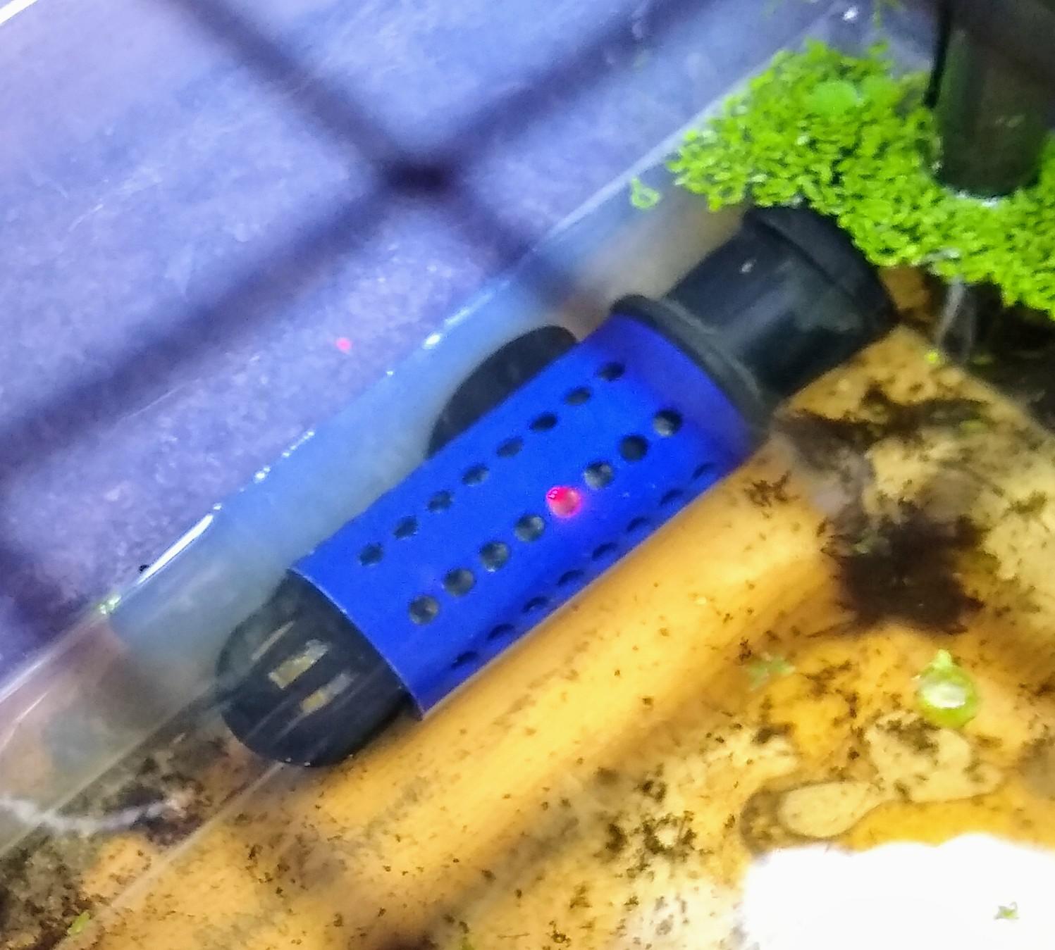 An aquarium heater guard for my cheap Walmart heater that didn't come