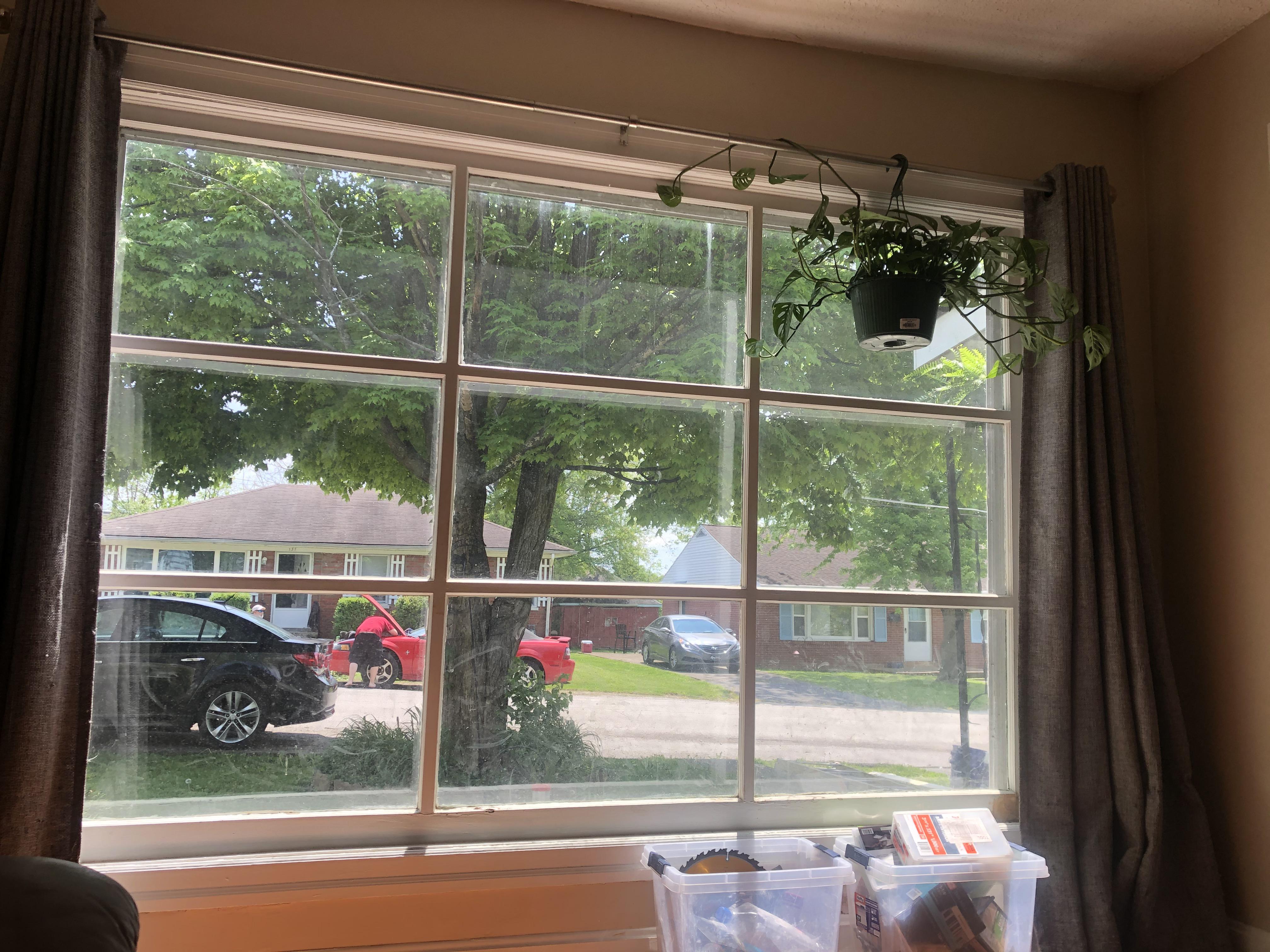 My big SouthEast facing window that all my plants get sun from   ft my