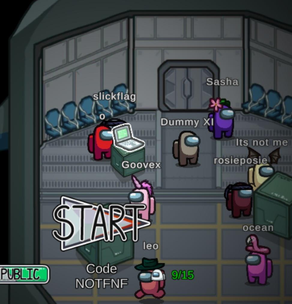 This needs to be my permanent lobby code from now on r/AmongUs