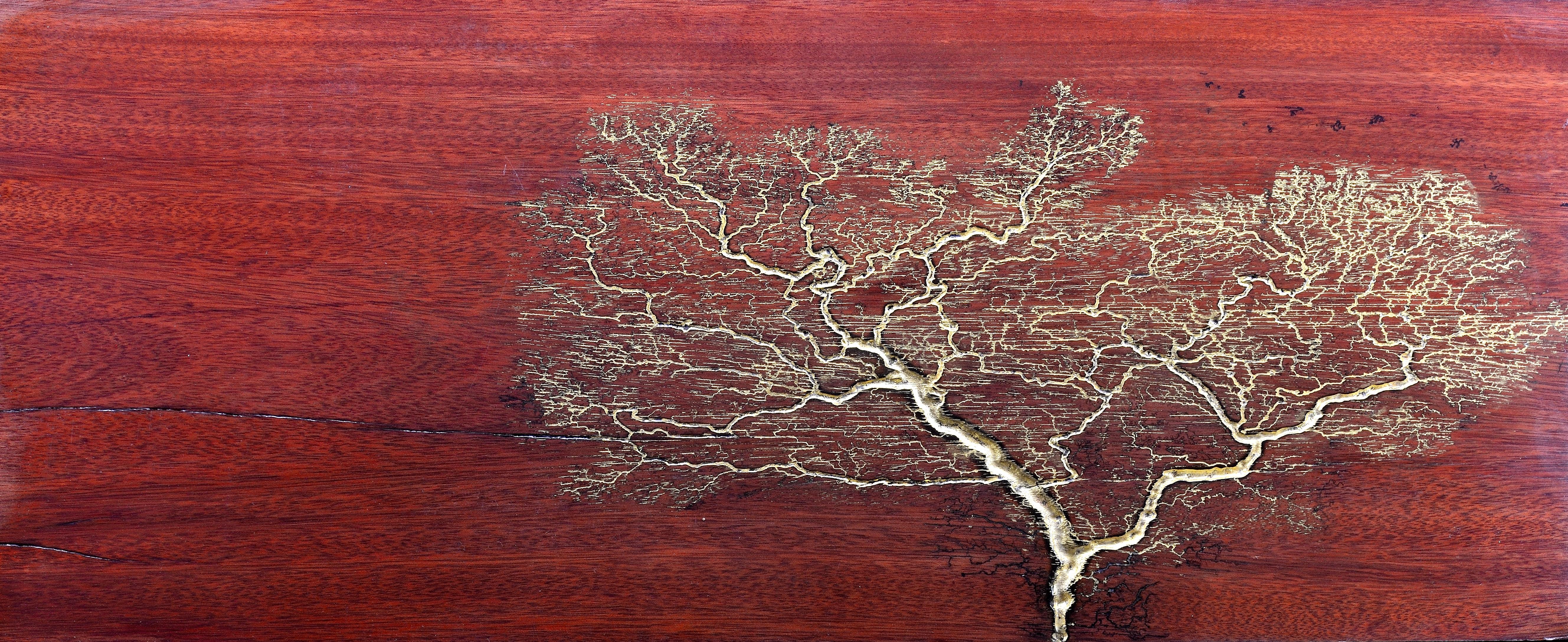 Golden Bonsai, high voltage wood burning on bloodwood, 26x9 r/Art
