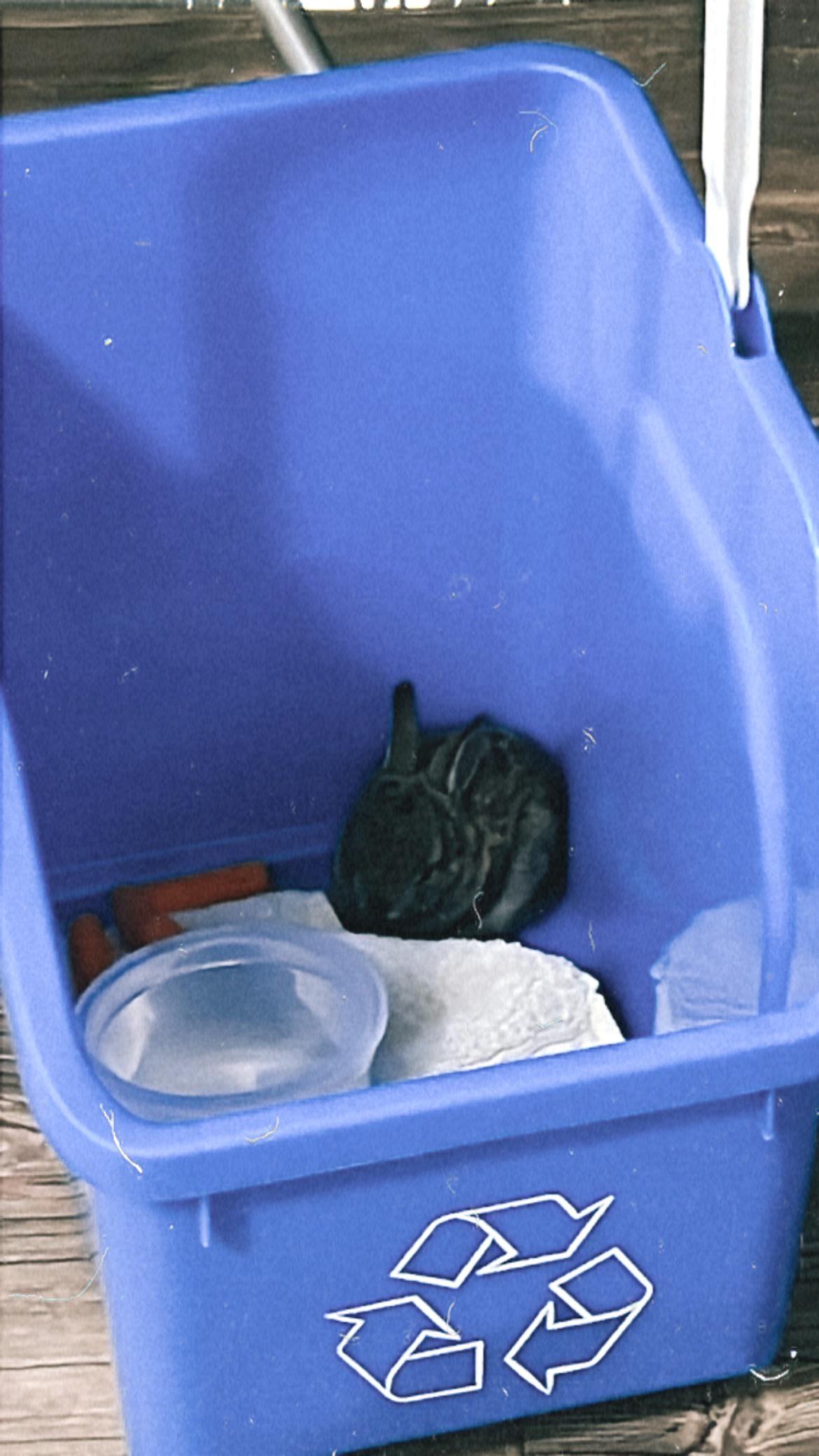 I found a small bunny r/Rabbits