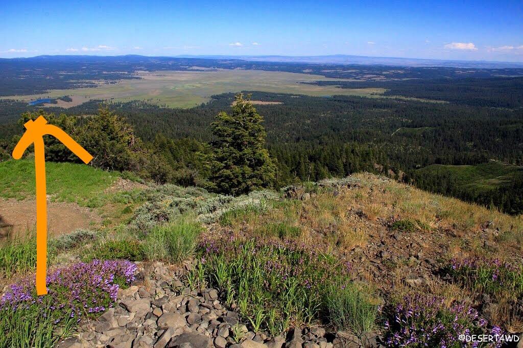 Cool shot of Big Summit Prairie (festival site) r/OregonEclipse