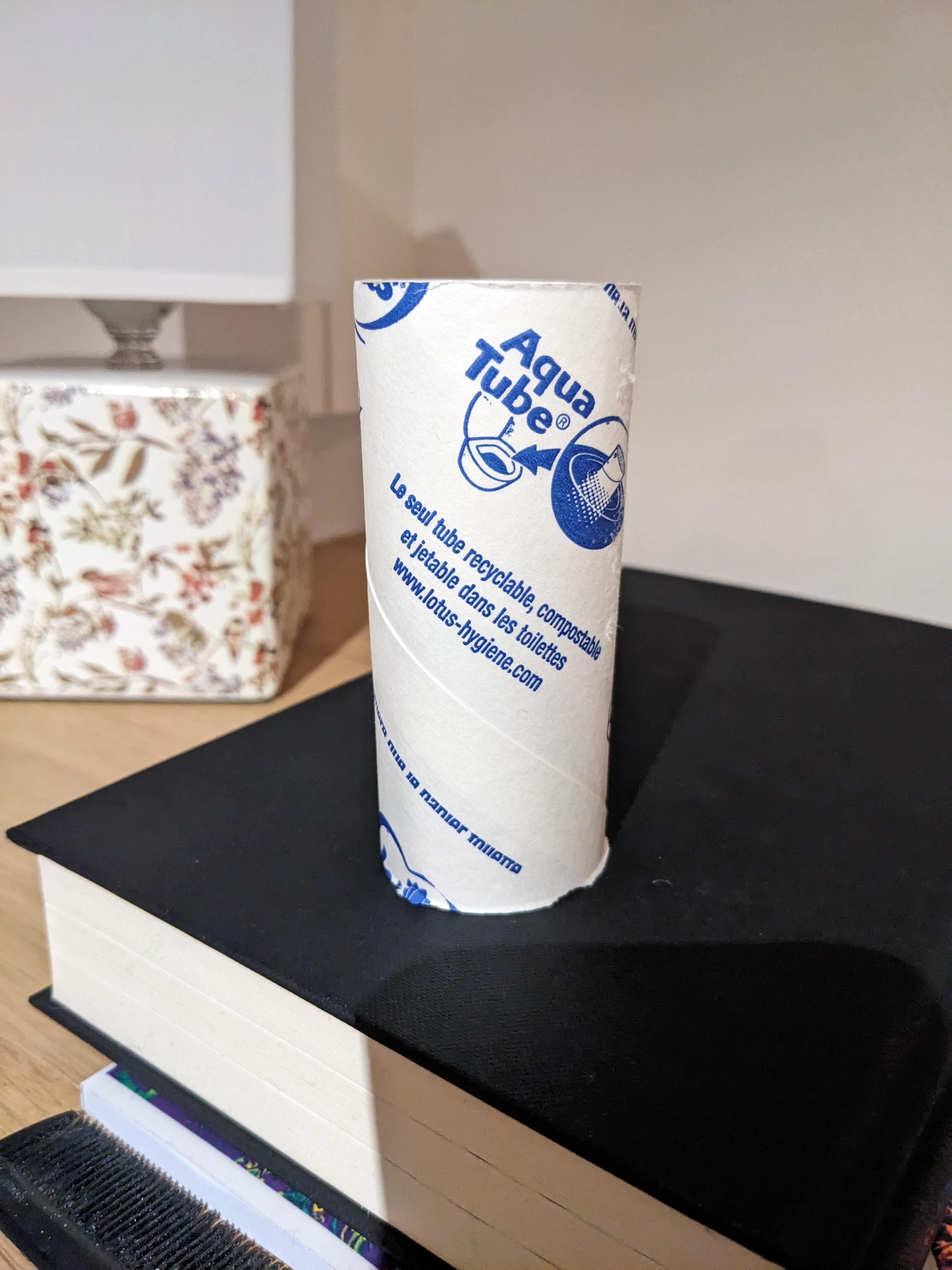 This toilet paper roll can be flushed r/mildlyinteresting