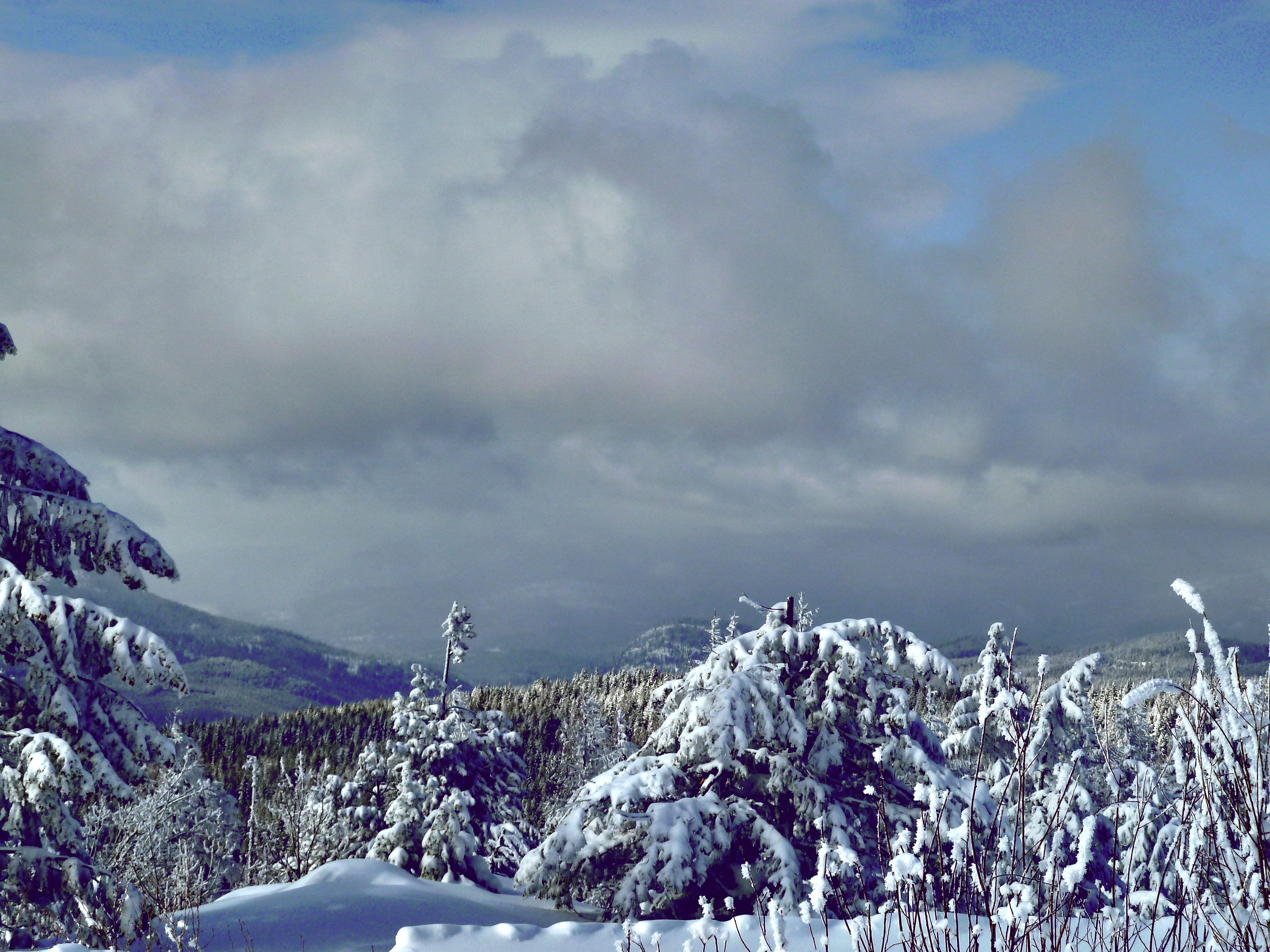 The view from Radar Dome, just outside of Colville WA, was amazing