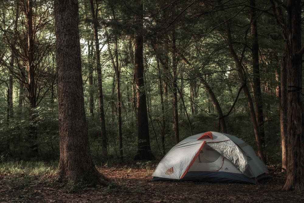Shawnee National Forest (Illinois) r/camping