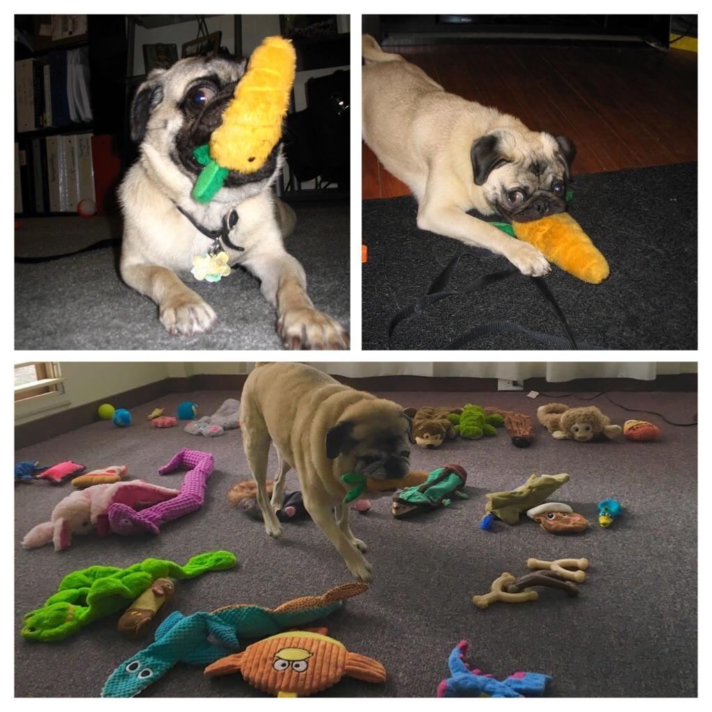 Despite having more and more options through the years, a stuffed