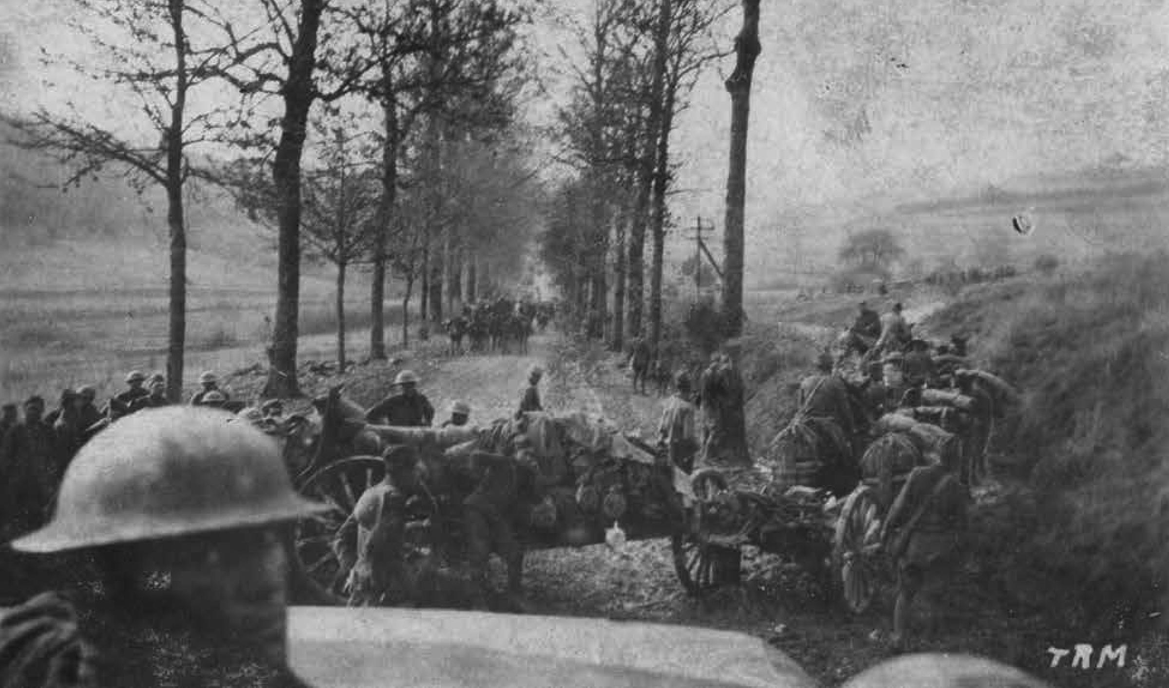 Meuse Argonne Forest