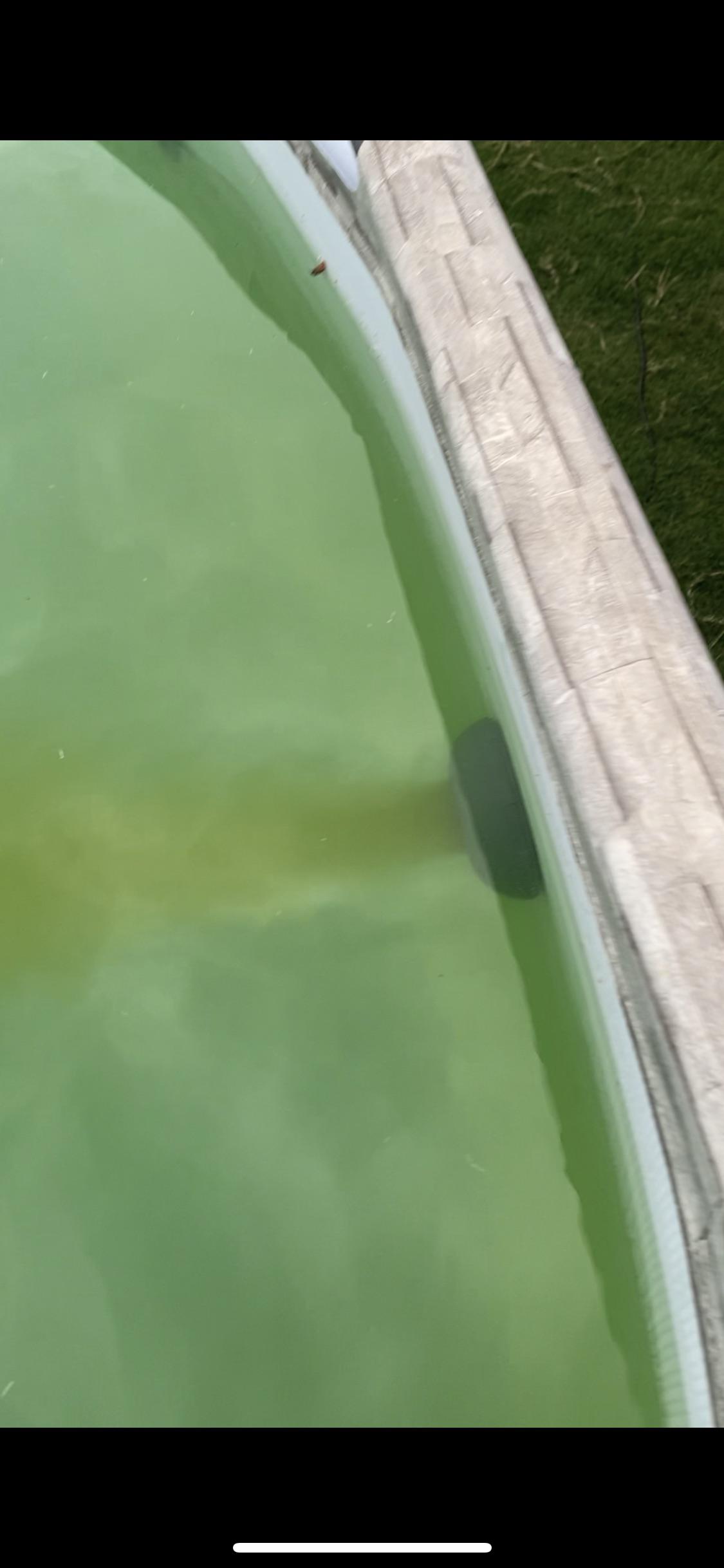 Why does my vacuum spit this out but my filter stays clean? r