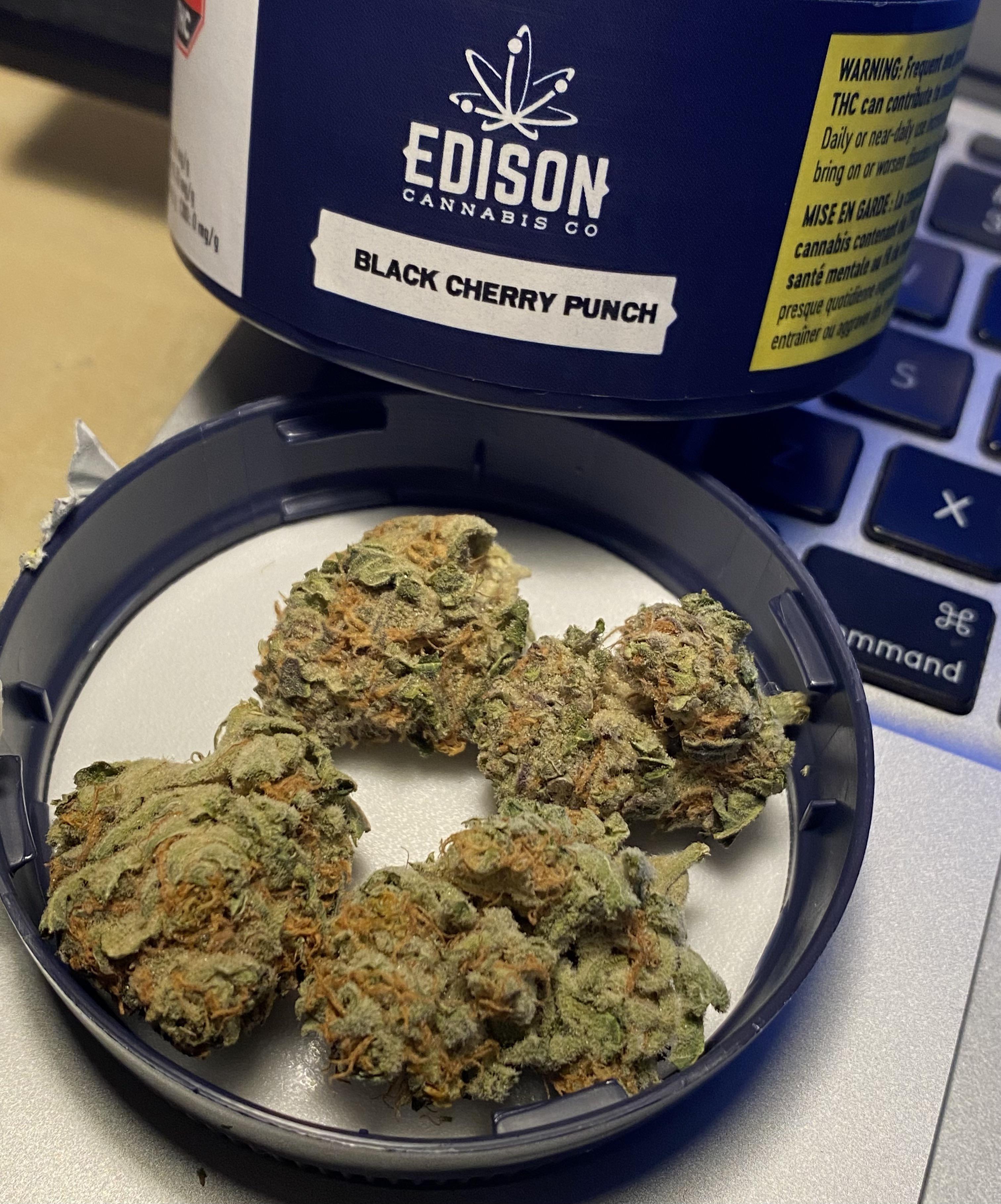 184 best Cherry Punch images on Pholder FL Medical Trees, The OCS and