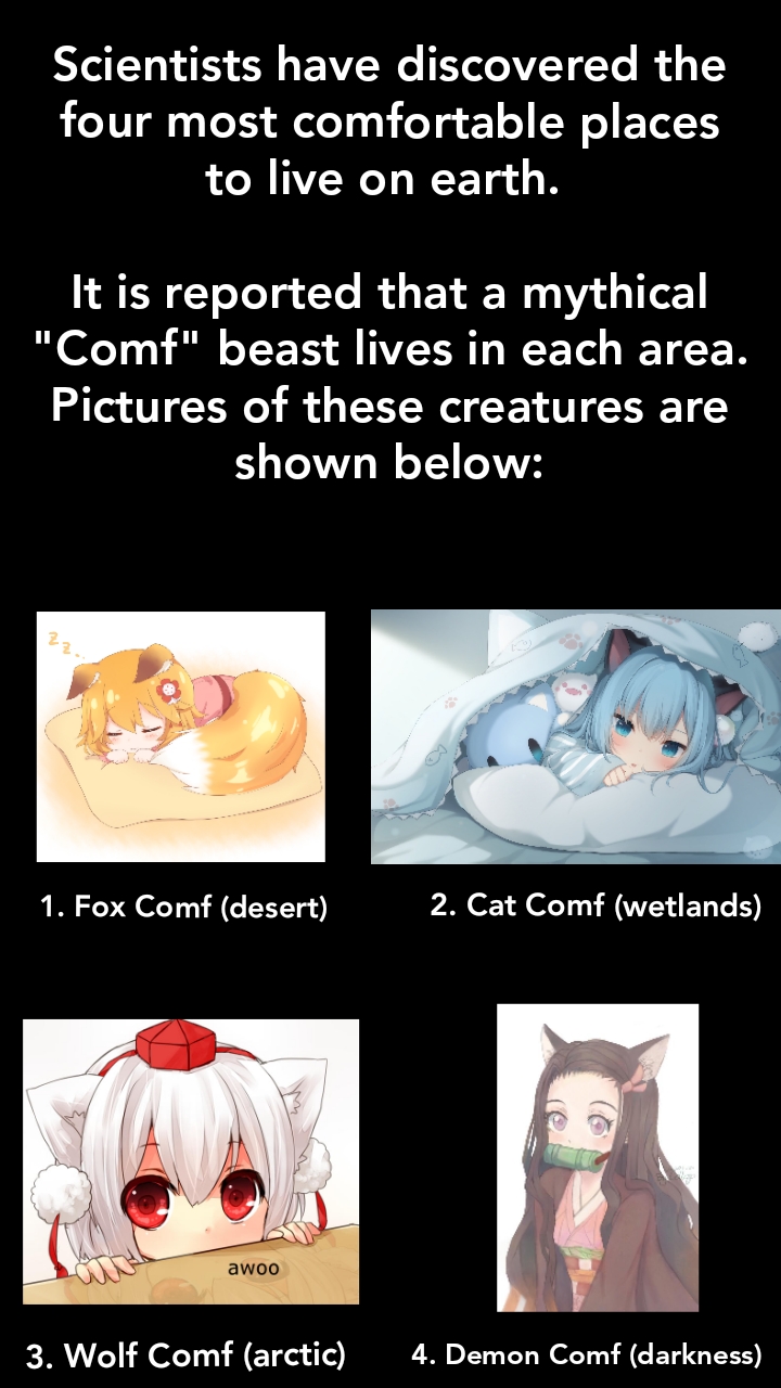 Update 136+ anime body pillow meme super hot 3tdesign.edu.vn